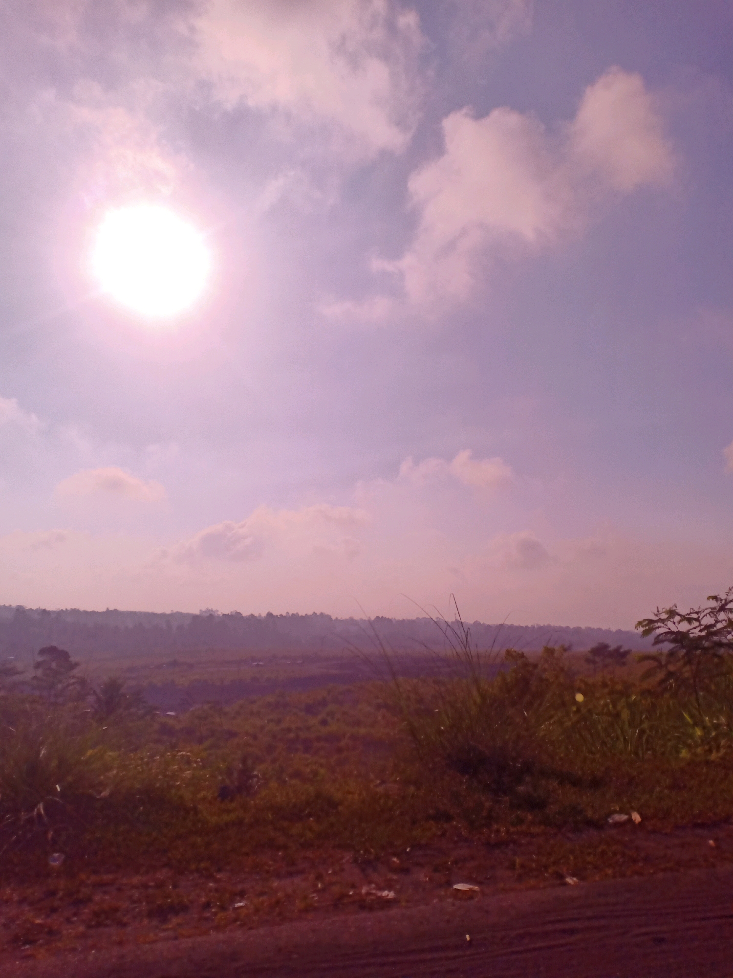 The image captures a landscape scene under a bright, hazy sun, casting a soft, diffused light. The sky is a gradient of pale purple and pink, with scattered clouds. In the foreground, a dirt path runs horizontally, bordered by dry grass and some vegetation. The midground reveals a vast expanse of fields, appearing somewhat barren or covered in low-lying brush and grasses, with distant trees forming a dark silhouette against the horizon. The overall impression is of an open, rural or undeveloped area under a warm, potentially humid atmosphere.