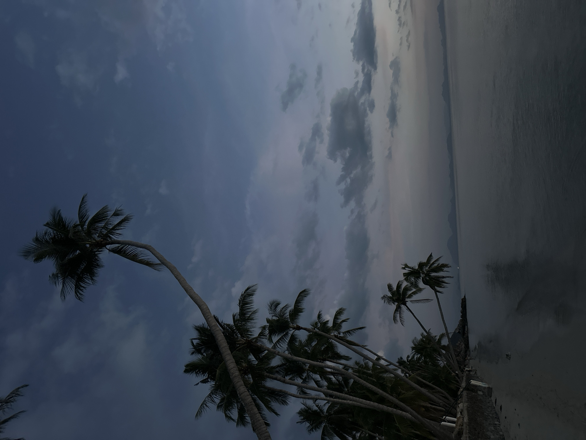 The image depicts a tranquil beach scene at dusk in Ko Samui District, Thailand. A cluster of palm trees, some leaning dramatically over the sandy shore, dominates the left side of the frame. Their fronds are dark against the twilight sky, which is a gradient of deep blue with wispy, muted clouds. The calm sea stretches out to the right, reflecting the subdued colors of the sky. In the distance, a faint silhouette of islands or mountains can be seen on the horizon. The sand on the beach is light-colored, and the waterline is barely visible due to the low light conditions. There are a few small figures visible on the beach near the palm trees, suggesting human presence, but their actions are indistinct. A low stone wall runs along the edge of the beach, partially obscured by the palm trees. The overall atmosphere is serene and peaceful, characteristic of a tropical evening.