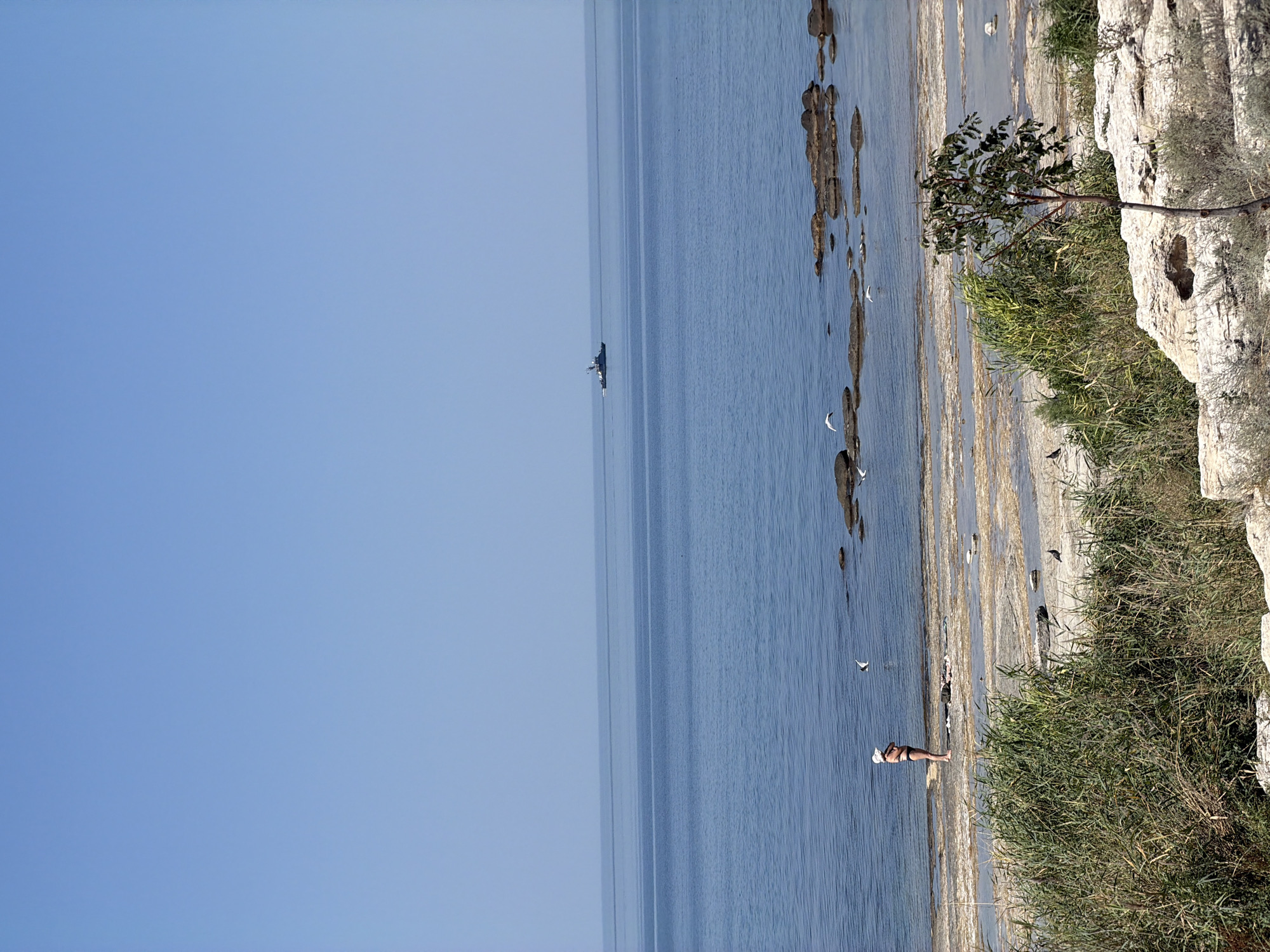 The image depicts a scene on the shore of the Caspian Sea in Aktau, Kazakhstan. A woman, wearing a white hat and a black bikini, stands on a rocky, shallow beach. She is facing the sea, with her arms crossed. Several seagulls are flying around the water and on the shore. In the distance, a ship is visible on the calm, blue sea. The sky is clear and blue. The foreground is occupied by dense green vegetation and white rocks. The environment appears dry and arid, characteristic of the region.