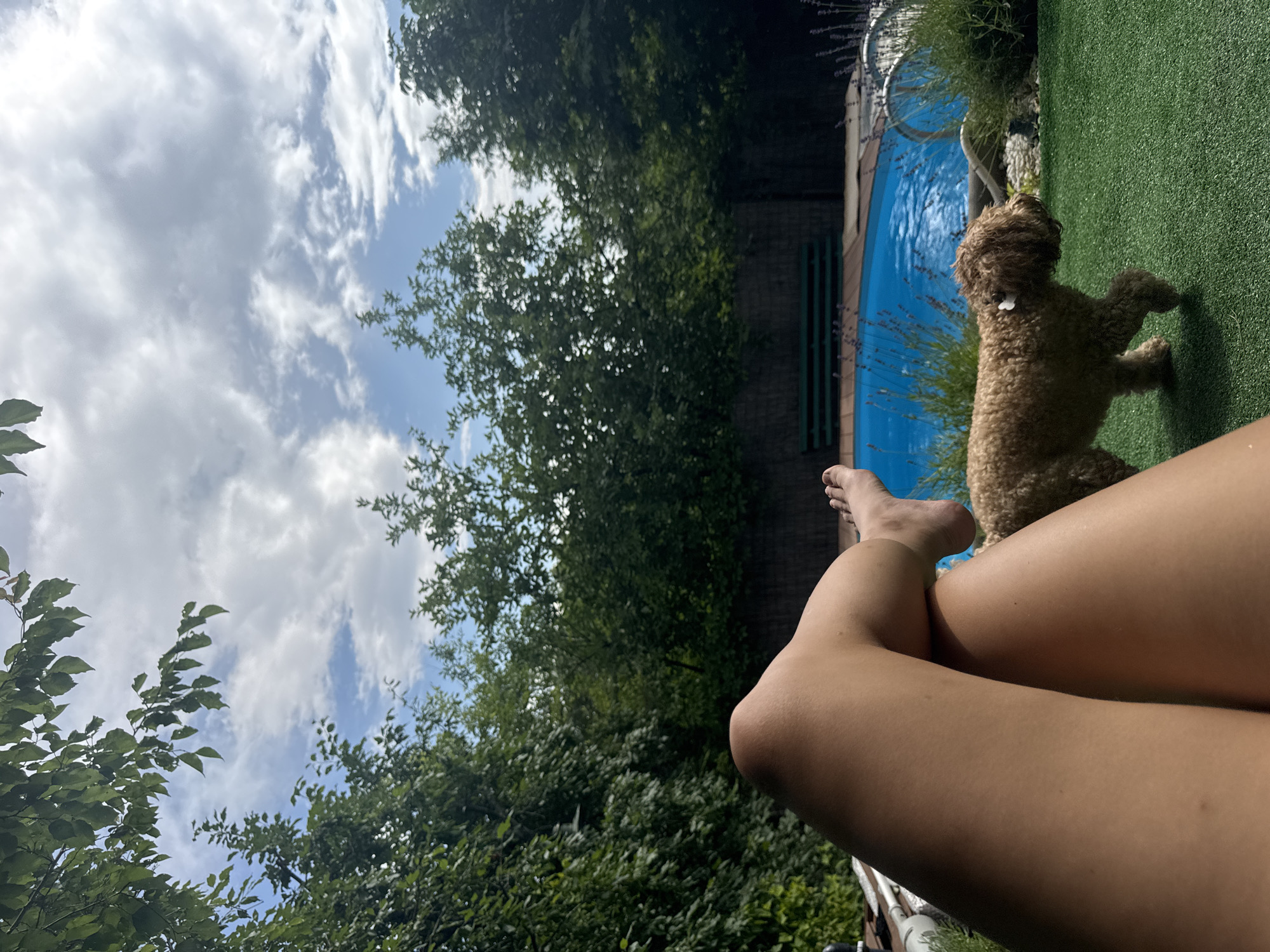 A first-person perspective shot shows a person's legs crossed and extended, with their feet visible in the foreground. A small, fluffy brown dog walks on artificial turf to the right of the legs. In the background, a bright blue swimming pool is visible, surrounded by green foliage and a wooden fence. A green park bench is situated behind the pool. The sky above is a mix of blue sky and white clouds, with branches of a tree extending into the upper left corner of the frame. The scene appears to be a backyard in Pribrezhnyi, Russia, on a partly cloudy day.