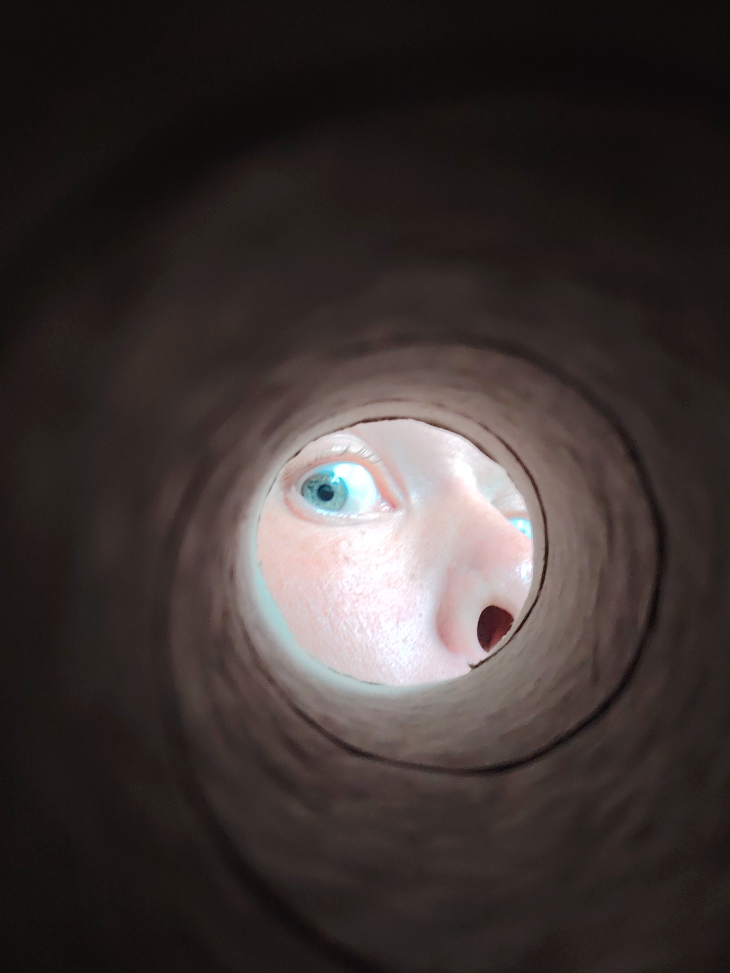 A close-up, point-of-view shot looks through the hollow cardboard tube of a toilet paper roll. A person's face is visible through the opening at the far end of the tube, with their bright blue eye and the bridge of their nose and nostril prominent. The surrounding area of the tube is dark brown and textured. The image does not contain any information that can be used to determine its location in Chaikovsky, Russia.