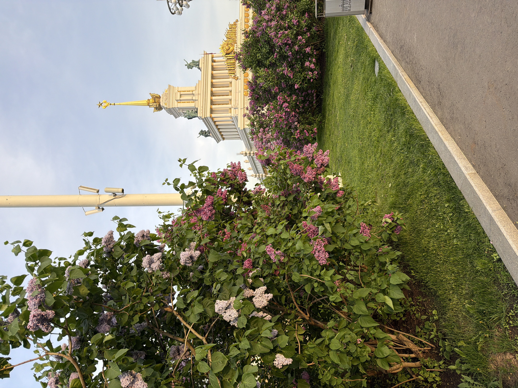 The image shows a view of the Central Pavilion at the All-Russia Exhibition Center (VDNKh) in Moscow, Russia. The architectural structure, featuring a golden spire and statues, is partially obscured by blooming lilac bushes in the foreground. Additional greenery and a paved walkway are visible, along with a lamppost. The sky is overcast.