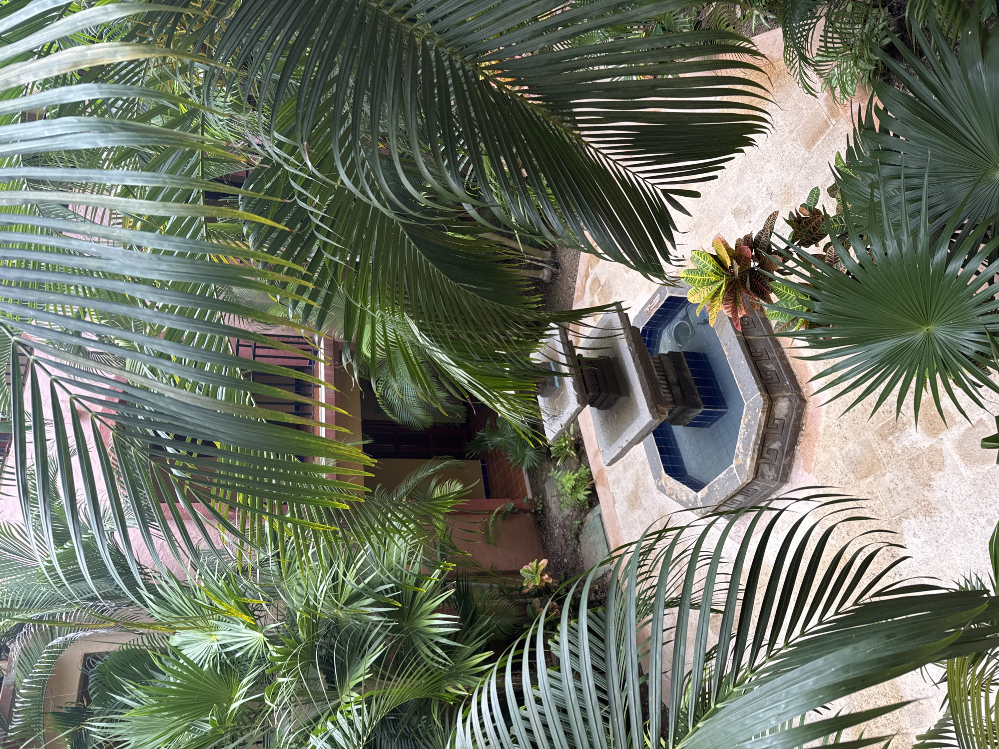 An overhead shot reveals a courtyard in Playa del Carmen, Mexico, dominated by lush tropical foliage, including numerous palm trees with large, fronded leaves. A three-tiered stone fountain with blue-tiled basins serves as a central focal point, situated on a stone-paved ground. A building with a pink exterior can be seen through the foliage, suggesting an enclosed space. Other smaller plants are dotted around the courtyard.
