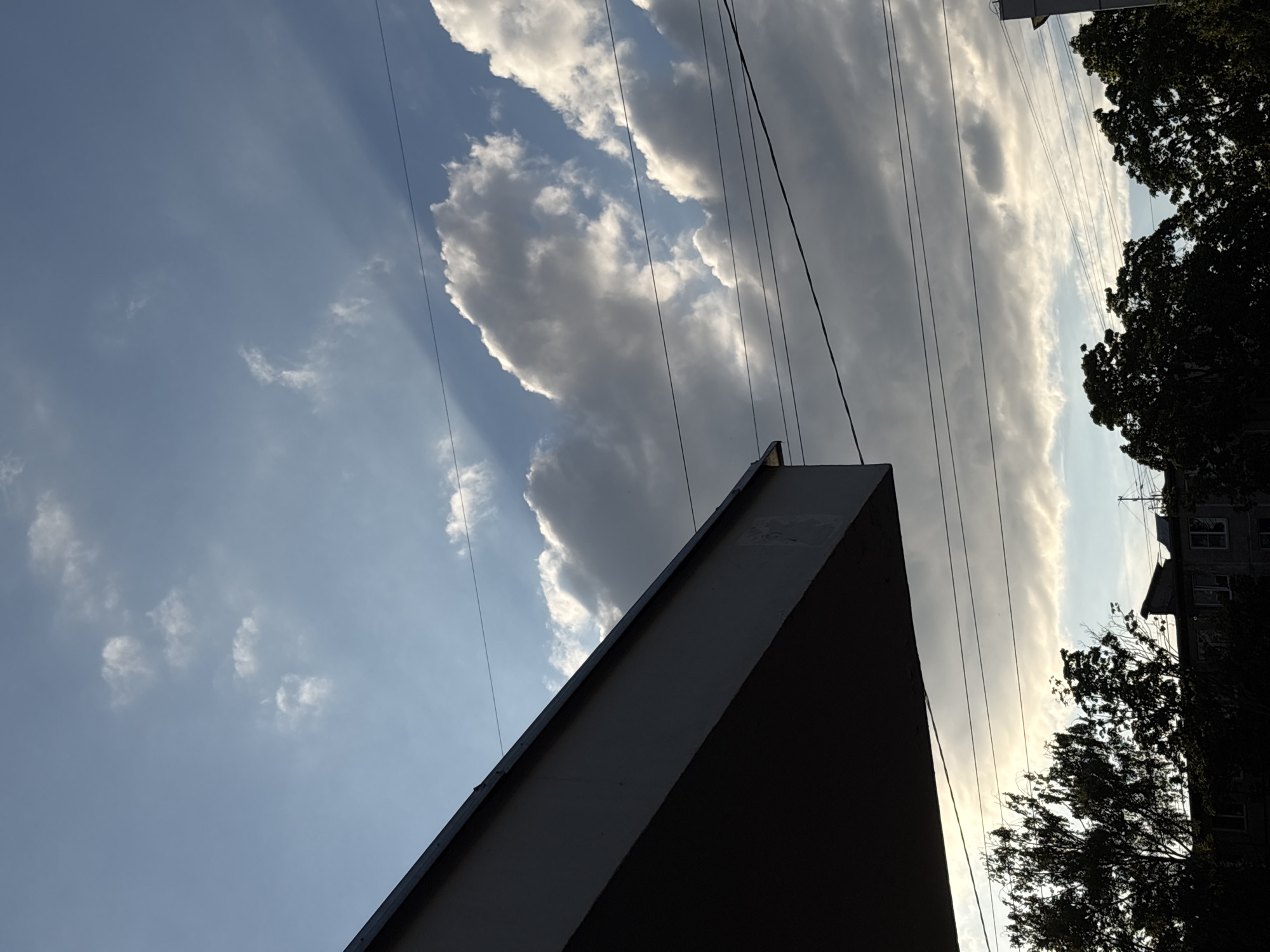 The image presents an urban sky view, featuring a mix of clouds, power lines, and parts of buildings and trees, likely captured from a low angle looking upwards. The overall scene is dominated by a blue sky with varying cloud formations.
In the upper-left and central portions, there are patches of clear blue sky, interspersed with white, fluffy cumulus clouds. Towards the right and extending across the middle, denser, grey clouds are visible, some with bright white edges indicating direct sunlight. Streaks of light and shadow, possibly crepuscular rays, are subtly visible in the blue sky sections.
Multiple thin, dark power lines or cables crisscross the sky from left to right, appearing to connect various structures. In the immediate foreground, a sharp, dark triangular silhouette of a building's roofline or wall occupies the lower-left section, casting a deep shadow. On the right side, a dense mass of dark tree foliage and branches creates another prominent silhouette, partially obscuring a multi-storied building with visible windows in the background.
The lighting suggests a low sun, either early morning or late afternoon, as elements like the building and trees are heavily shadowed and appear as dark silhouettes against the brighter sky. The clouds are illuminated from one side, adding depth and texture. No specific activity or people are visible. There is no discernible text in the image. The scene offers a glimpse of an urban environment, consistent with a city like Saint Petersburg, Russia, based on the provided context.