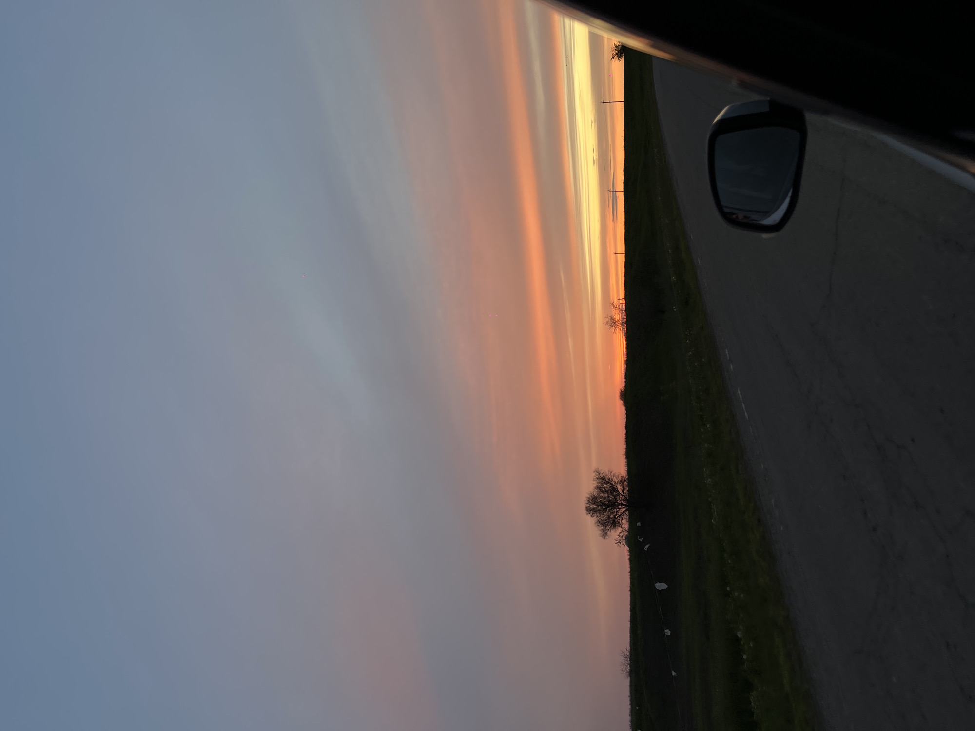 The image captures a serene rural landscape in Alexandrovka, Russia, viewed from a car during either sunset or sunrise. The sky dominates the upper and central parts of the frame, displaying a vibrant gradient of colors. Starting from a soft blue-grey on the left, it transitions through delicate shades of lavender, pink, and orange, culminating in brilliant streaks of yellow and gold near the horizon line on the right. These luminous bands of color suggest the sun's position just below the visible horizon, casting a warm glow across the atmosphere.
Below the expansive sky, the silhouette of a dark green landscape stretches across the horizon. A prominent, leafless tree stands out against the colorful sky, its intricate branches silhouetted. Further along the horizon, several dark, slender structures, possibly utility poles, are visible. White, scattered objects, which appear to be plastic bags or debris, are sparsely distributed in the field near the trees and poles.
A dark asphalt road occupies the bottom-right portion of the image, curving gently into the distance. In the immediate right foreground, the black side mirror of the vehicle from which the photo was taken is clearly visible, reflecting a dark and indistinct view. A part of the car's dark frame or door is also seen along the very right edge. The scene conveys a sense of peaceful travel through an open, unpopulated area during the golden hour. No people or visible text are present in the image.