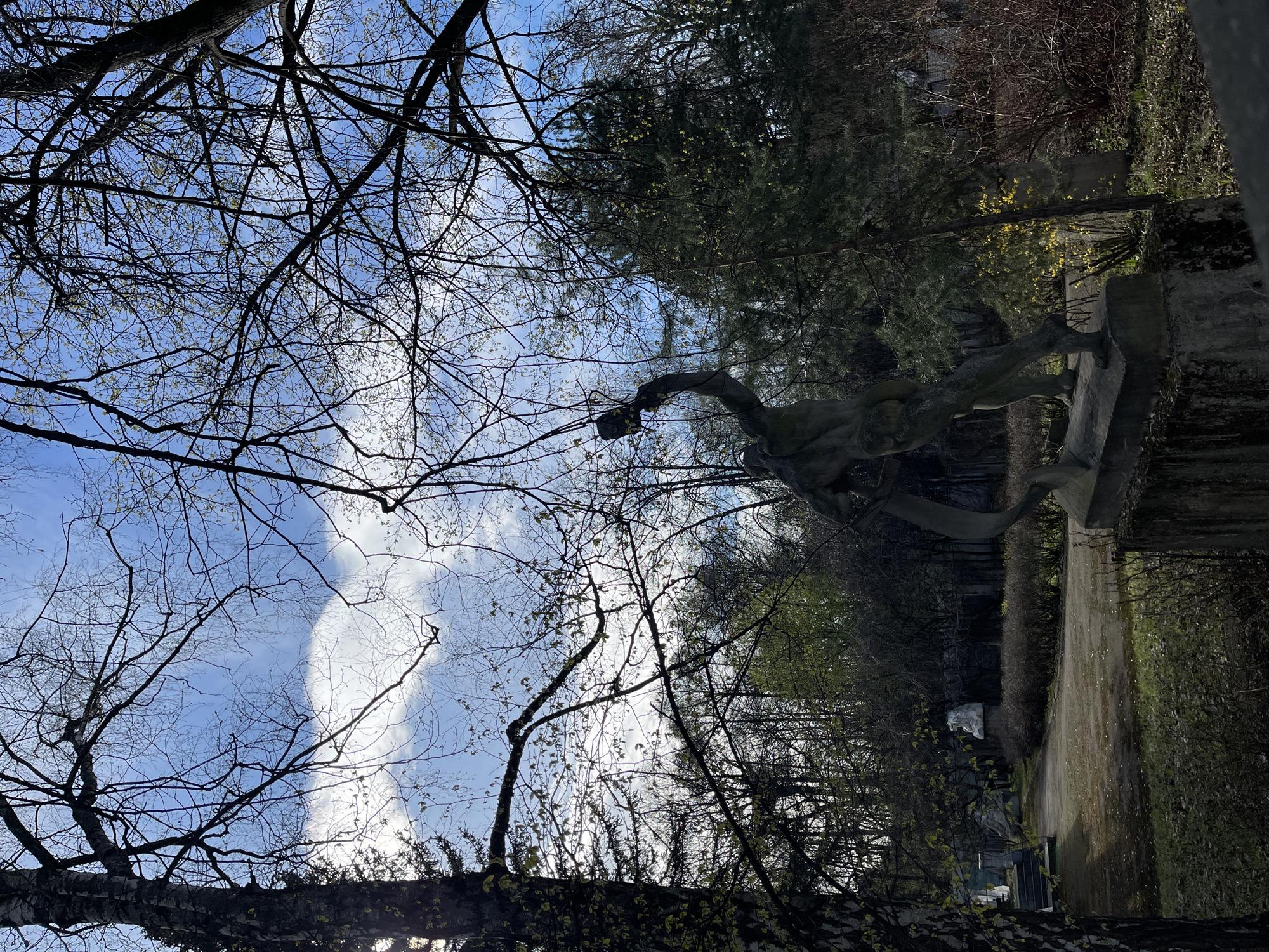 The image captures an outdoor scene, likely a park or memorial area in Khimki, Russia, featuring a prominent, weathered stone statue set against a bright, partly cloudy sky. The perspective looks upward, framing the statue against the sky through tree branches.
The central subject is a dark, rough-textured statue of a male figure, positioned on the right side of the frame. The figure appears to be standing on a plinth, holding a large, curved object—possibly a stylized hammer, scythe, or tool—raised high above his head. The statue's material suggests aged concrete or stone.
Above and to the left of the statue, the intricate silhouettes of bare tree branches crisscross against a clear blue sky, interspersed with white, wispy clouds. Some branches show small, light green buds, indicating that the photograph was taken in early spring. In the background, a paved path or road extends into the distance, bordered by dense vegetation, including dark evergreen trees and leafless bushes.
The scene is bathed in bright daylight, suggesting a late morning or early afternoon setting. There are no people visible, and no discernible text appears anywhere in the image. The overall atmosphere is quiet and contemplative, highlighting the statue within its natural, park-like environment.