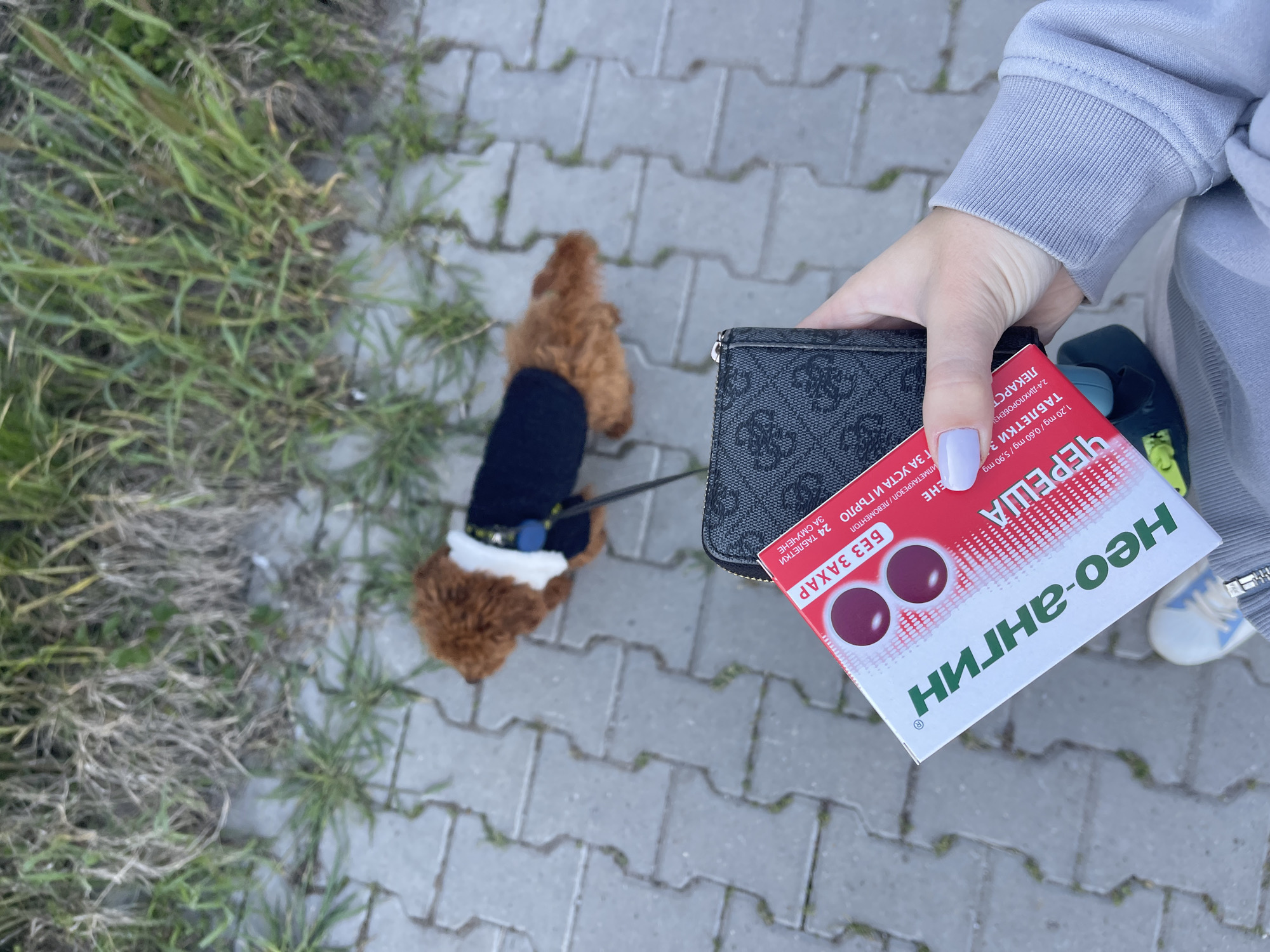 A woman holds a pack of "Neo-Angin" throat lozenges and a black wallet while walking a small brown dog on a leash on a paved sidewalk next to a grassy area. The medication is in Bulgarian and shows "ЧЕРЕША" (cherry) and "БЕЗ ЗАХАР" (sugar-free). The brand logo for Neo-Angin is on the box. The woman is wearing a light gray sweatshirt. A blue and white tennis shoe is visible in the periphery. The sidewalk is made of gray pavers. The location is likely in Sofia, Bulgaria, based on the Bulgarian language on the medication box.