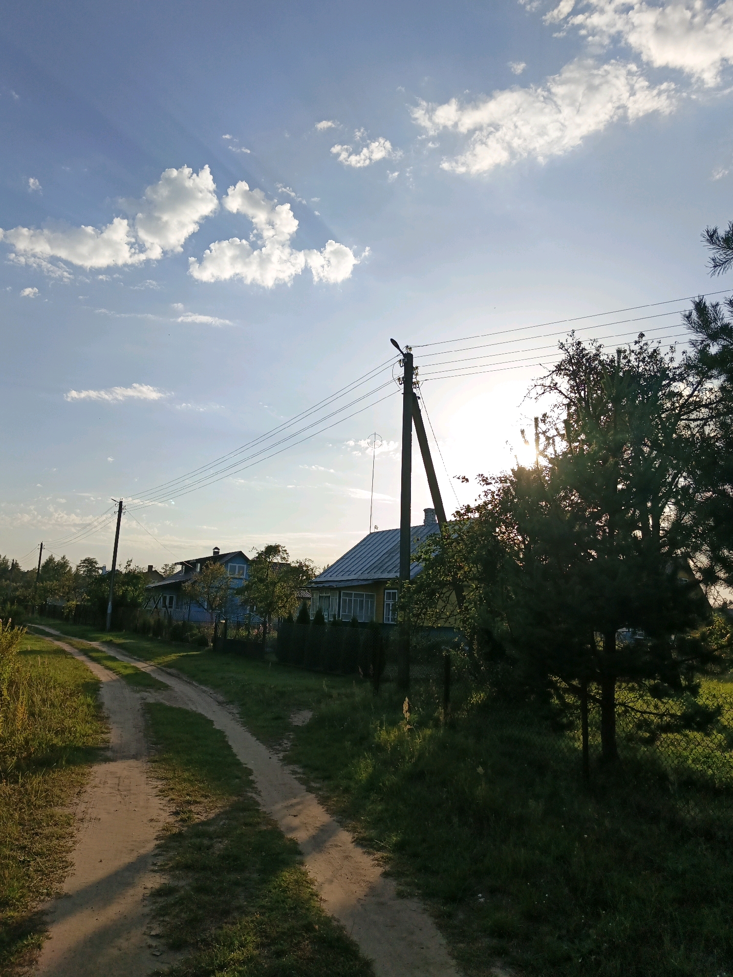 The image depicts a dirt road winding through a rural landscape. On the left side of the road, tall grass and vegetation line the path, with shadows cast by the sun. Several houses with pitched roofs and windows are visible in the background, nestled among trees and a fence. Power lines are strung between utility poles, with one pole prominently featured near a large pine tree on the right side of the frame. The sun is partially obscured by the pine tree, creating a bright glare and dappled light across the scene. The sky is blue with scattered white clouds. The setting appears to be a village in Лосева, Belarus, likely during the late afternoon or early evening due to the lighting conditions. There are no people or animals visible in the image.
