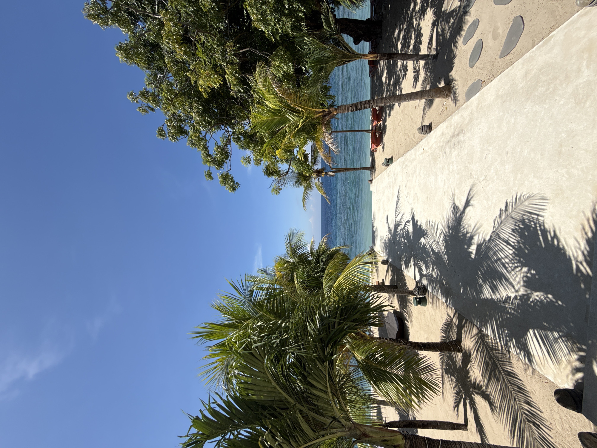 The image shows a tropical beach scene, likely in Nusa Penida, Indonesia. The sky is clear and blue, suggesting a sunny day. Palm trees are prominent, with their fronds casting shadows on a white concrete path. The ocean is visible in the background, appearing calm and turquoise. There is also lush green vegetation interspersed with the palm trees, enhancing the tropical setting.