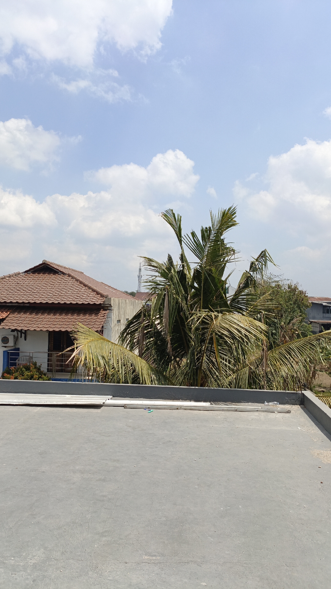 This is a landscape image taken outdoors on a sunny day. The foreground shows a flat, gray concrete rooftop. In the middle ground, there is a cluster of coconut palm trees with green fronds. Behind the trees, a residential building with a reddish-brown tiled roof is visible, along with parts of other buildings and a telecommunications tower in the distance. The sky is blue with scattered white clouds. The scene appears to be located in a residential area, likely in Trihanggo, Indonesia, given the architecture and vegetation. There are no people or discernible actions in the image.
