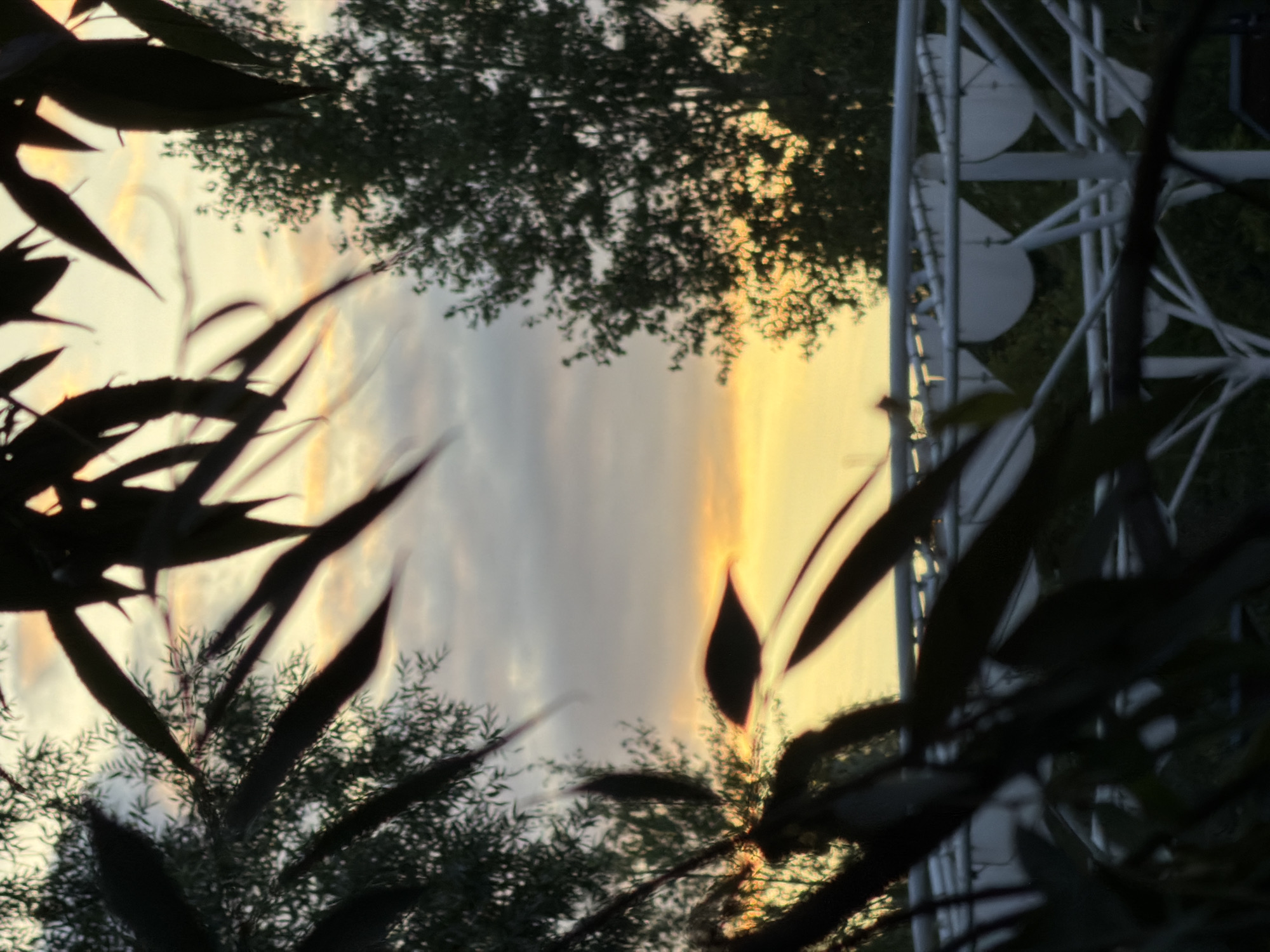 The image depicts a blurry, out-of-focus view of a sunset seen through foliage and a white, geometric structure. The sky displays a gradient of colors from pale yellow near the horizon to light gray at the top, with scattered clouds. Silhouetted dark leaves and branches frame the scene from the foreground. Behind the foliage, a white, possibly metallic, structure with a repeating pattern of angled supports and semi-circular elements is visible. In the background, dark silhouettes of trees are present. The overall impression is one of a natural scene juxtaposed with man-made elements, possibly in an outdoor recreational area or park at dusk. There are no identifiable people or specific actions taking place. The setting is suggested to be in Kazan, Russia.