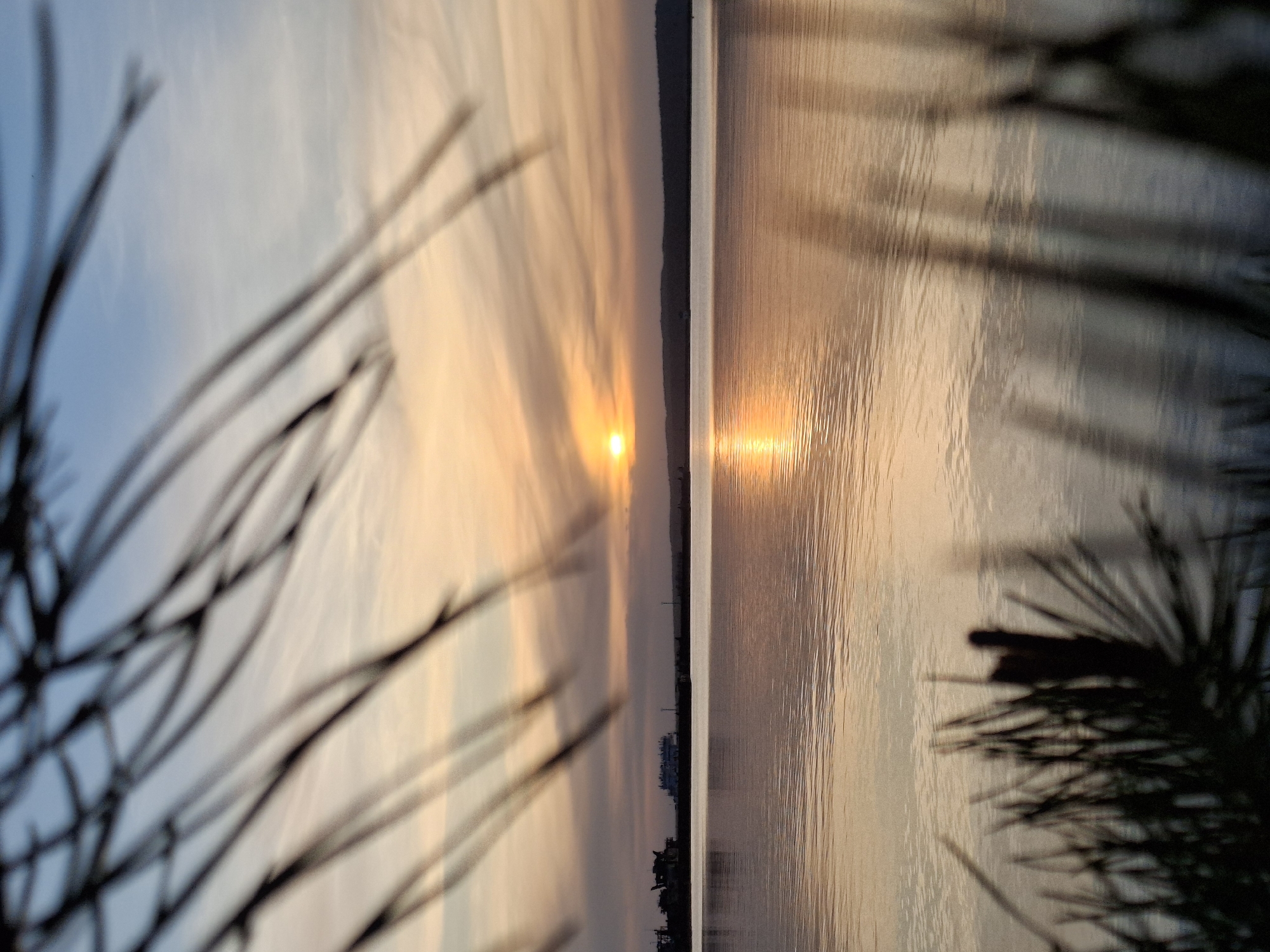 The image captures a sunrise or sunset over a body of water, likely a lake or reservoir, in Chaikovsky, Russia. A line of trees/buildings is seen along the horizon. The sun's reflection creates a bright path on the water's surface. Silhouetted foliage is present in the foreground, blurring and obscuring the view slightly. The sky is a mix of blue and orange hues.