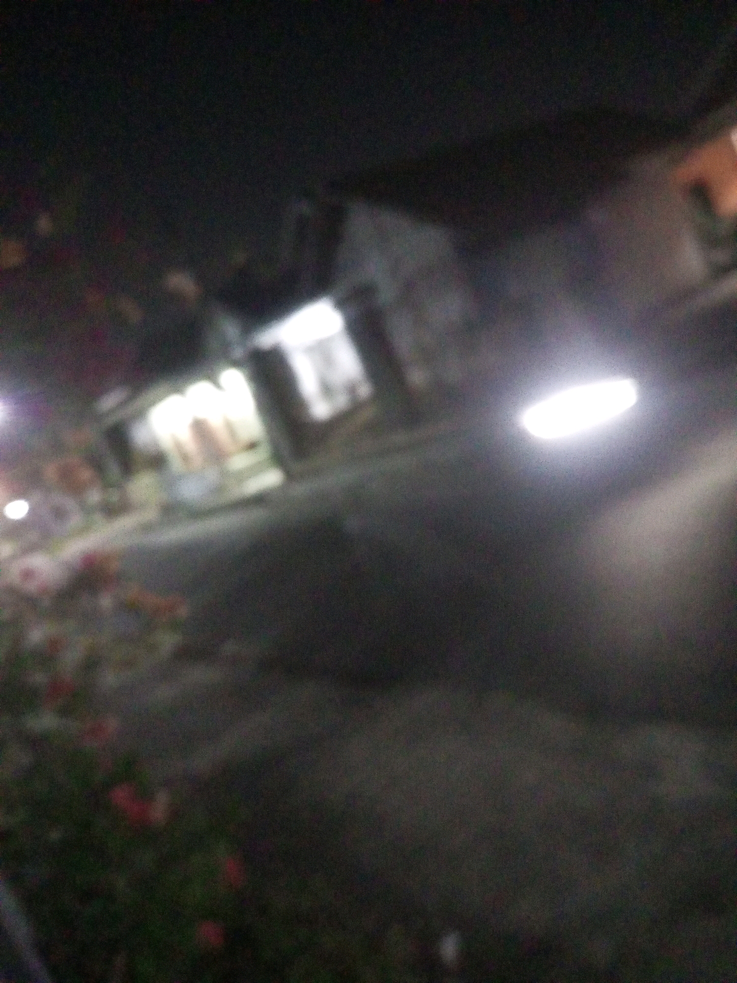 The image depicts a dimly lit street scene at night in Ngasem, Indonesia, with visible streetlights and the glow from a building. A bright, elongated light source, possibly from a vehicle or streetlamp, is prominent in the center right of the frame. In the foreground, on the left, there are blurred red and green shapes that appear to be vegetation, possibly flowers or bushes. The background shows indistinct buildings with illuminated windows, suggesting a residential or commercial area. The overall impression is of a quiet, somewhat dark urban environment.