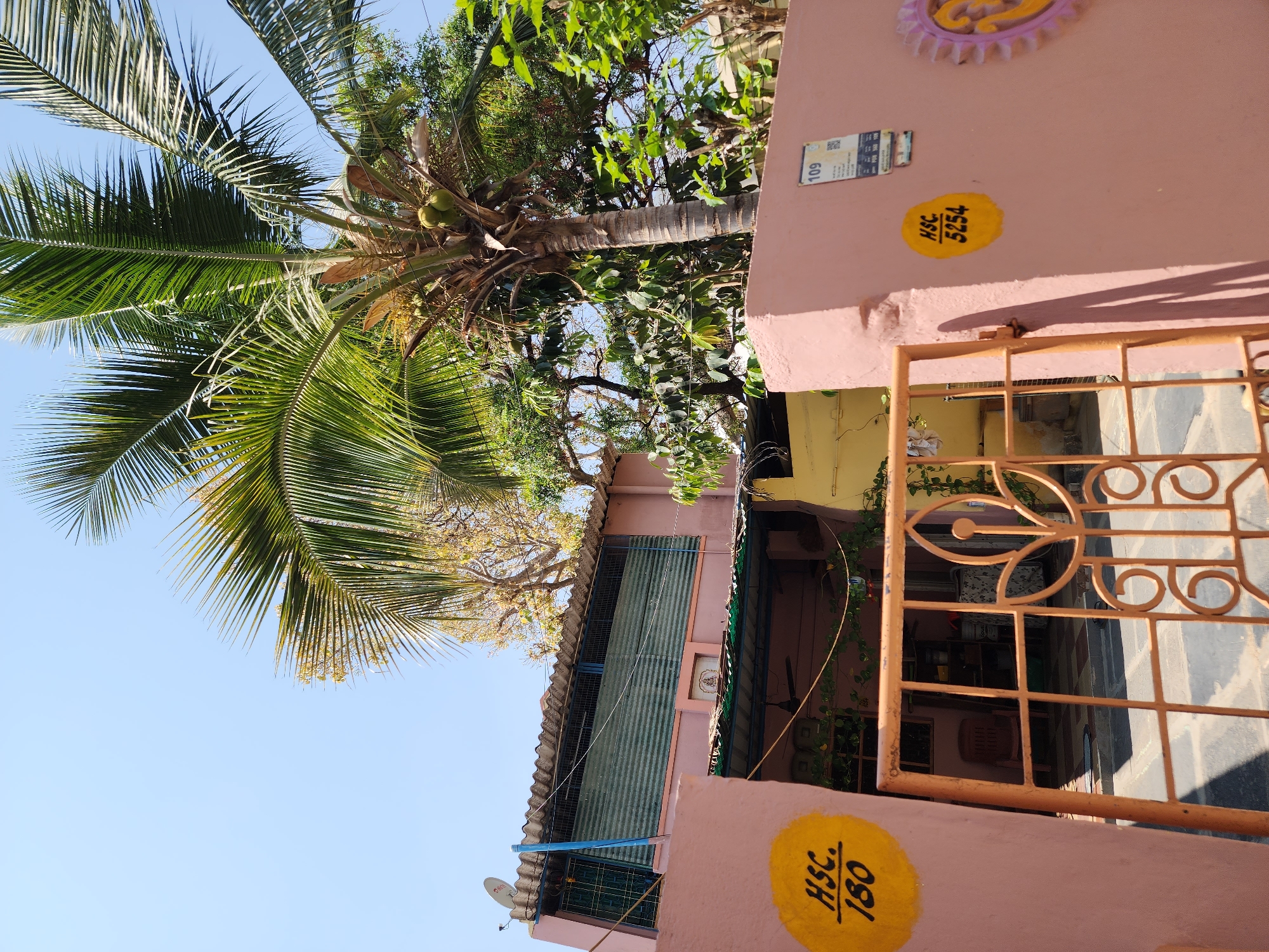 This image captures the entrance and facade of a residential property located in Pedda Kammavaripalli, India, under a clear blue sky. The primary structure consists of a two-story building with a pink-painted lower section and a yellowish adjacent wall to the right. A prominent orange metal gate, featuring decorative stylized floral and geometric patterns, secures the entrance.
The compound wall, also painted pink, displays two circular yellow markings: "HSC. 180" on the left pillar and "HSC. 5254" on the right pillar. To the right of the gate, a rectangular white sign labeled "109" with a QR code and additional text is affixed to the wall, alongside a decorative relief of a pink and yellow Om symbol.
Above the gate, an open porch area is visible, featuring a tiled floor, a red plastic chair, and shelves in the background. A green corrugated sheet roof covers this porch, beneath which a ceiling fan is suspended. A small framed image, depicting a Hindu deity, is mounted on the wall above the porch. The upper level of the building features a pink facade with a long, horizontal section enclosed by blue metal bars and horizontal green corrugated metal sheets, acting as a screen or shutter. A white satellite dish is mounted on the far left of the building's roofline.
A tall coconut palm tree, bearing several green coconuts, stands centrally on the right side of the frame, its fronds extending into the clear blue sky. Various other green trees and foliage are visible surrounding the property. The scene is brightly lit by sunlight, casting shadows on the pink wall. No individuals are visible, and no actions or interactions are depicted.