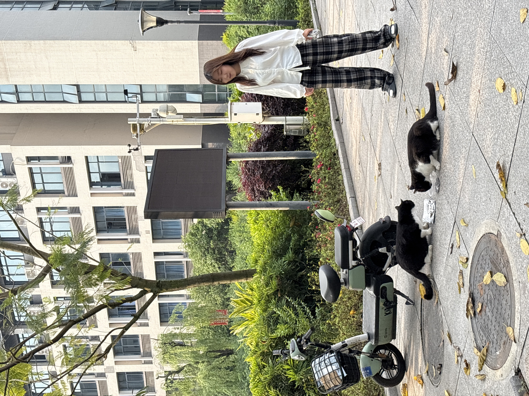A young woman in a white top and plaid pants stands on a paved sidewalk in Jiangjin, China. Two black and white cats are nearby; one is on the sidewalk, and the other is near a parked light-green electric scooter. A building is to the left, a sign is centered in the image, and foliage is present.