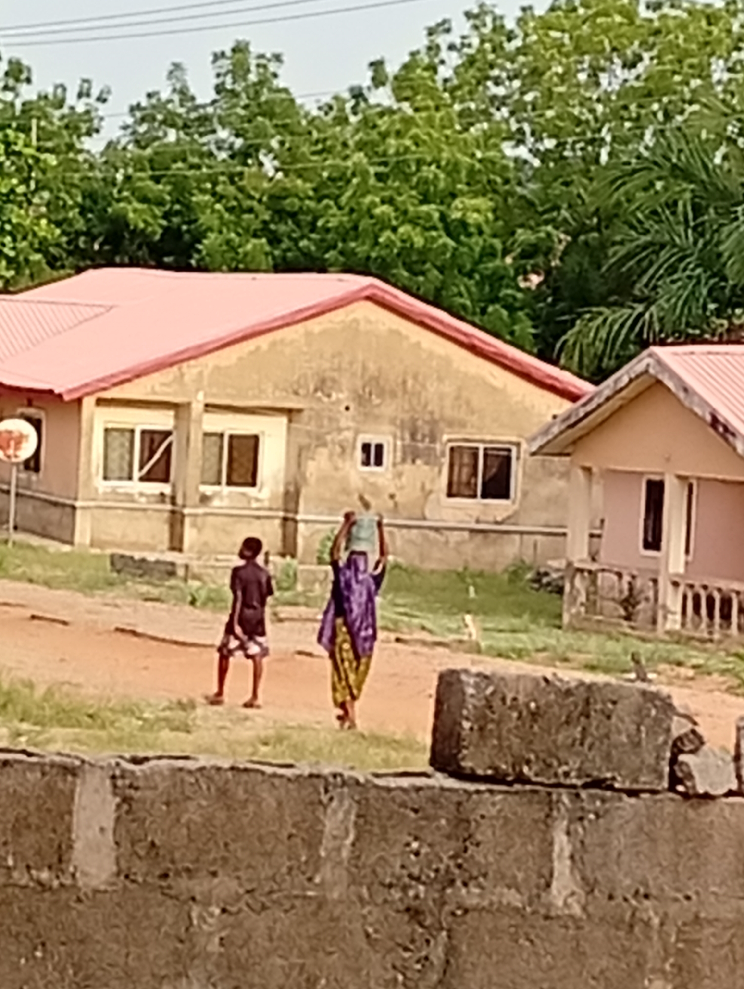 The image displays an outdoor scene, likely a rural or semi-urban setting, under bright daylight. In the midground, two individuals are walking along an unpaved dirt path. An adult, clad in a flowing purple and yellow patterned garment, carries a light-colored container on their head. Ahead of them, a child, wearing a dark t-shirt and patterned shorts, walks in the same direction.
Behind the people, two single-story houses are prominent. The larger house on the left is light brown or tan, featuring several rectangular windows, some with white frames, and is topped with a reddish-orange corrugated metal roof. A white, circular sign or dish is visible on a pole to the left of this house. To the right, a smaller house, painted a light pink or beige, also has a reddish-orange corrugated roof and a small porch with balusters.
The background is filled with lush, dense green trees and foliage, suggesting a verdant environment. Faint lines, possibly power lines, are visible against the sky above the trees. In the foreground, a low concrete block wall is present, with some loose concrete blocks resting on top of it. The time of day appears to be daytime, with clear, bright lighting and no discernible adverse weather conditions. No visible text is present.