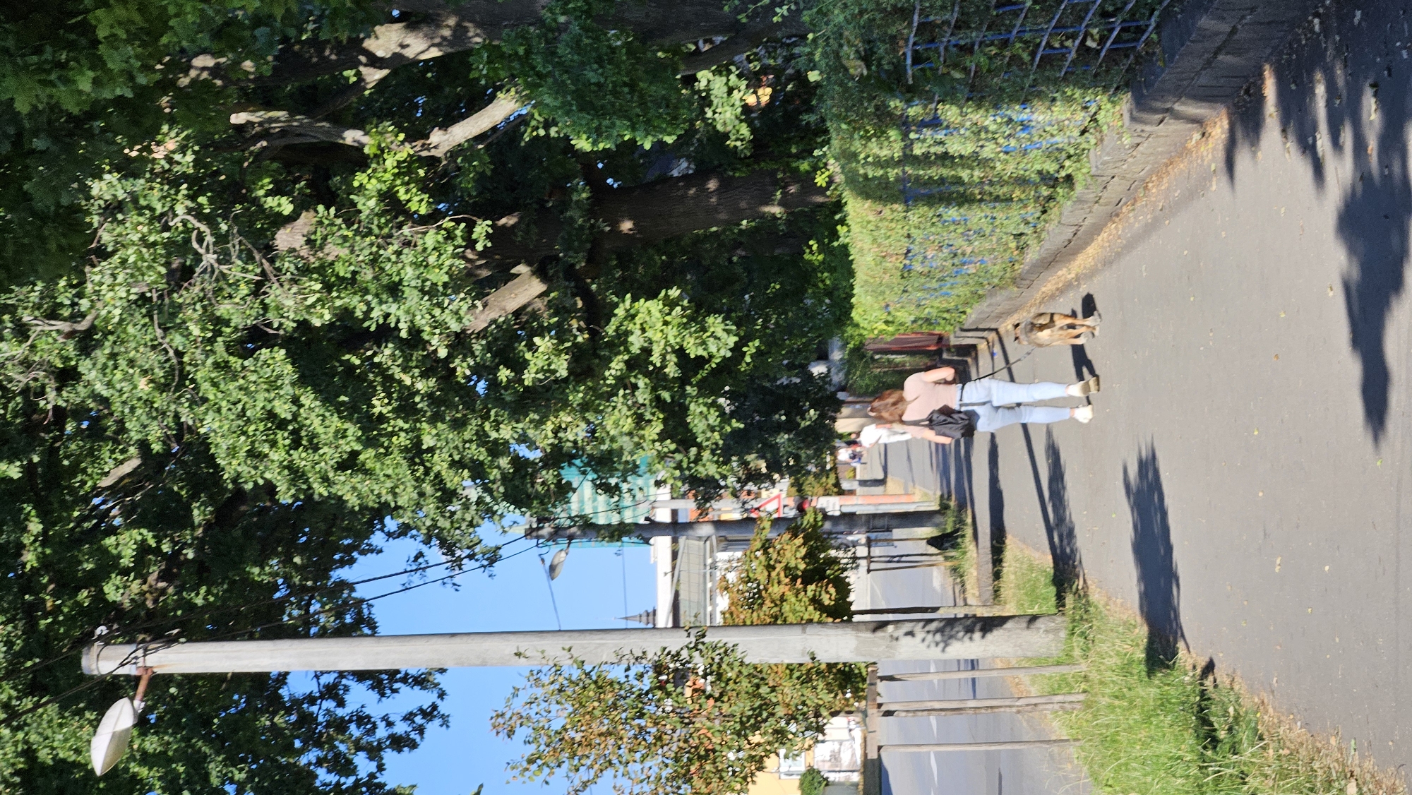 An outdoor, vertical, eye-level shot shows a woman walking her dog down a sidewalk lined with trees and a hedge. The woman is in the center of the frame, facing away from the camera. She has long brown hair, is wearing a light pink t-shirt and blue jeans, and has a black backpack slung over her right shoulder. Her dog, a medium-sized brown and black dog, is on a leash to her right, also facing away from the camera. The sidewalk is made of concrete and has some leaves scattered on it. To the left of the sidewalk is a street with parked cars and a sidewalk lined with trees. To the right of the sidewalk is a stone wall with a hedge on top, and beyond that is a blue metal fence. The background shows buildings, trees, and a clear blue sky. The image is taken in Prešov, Slovakia.