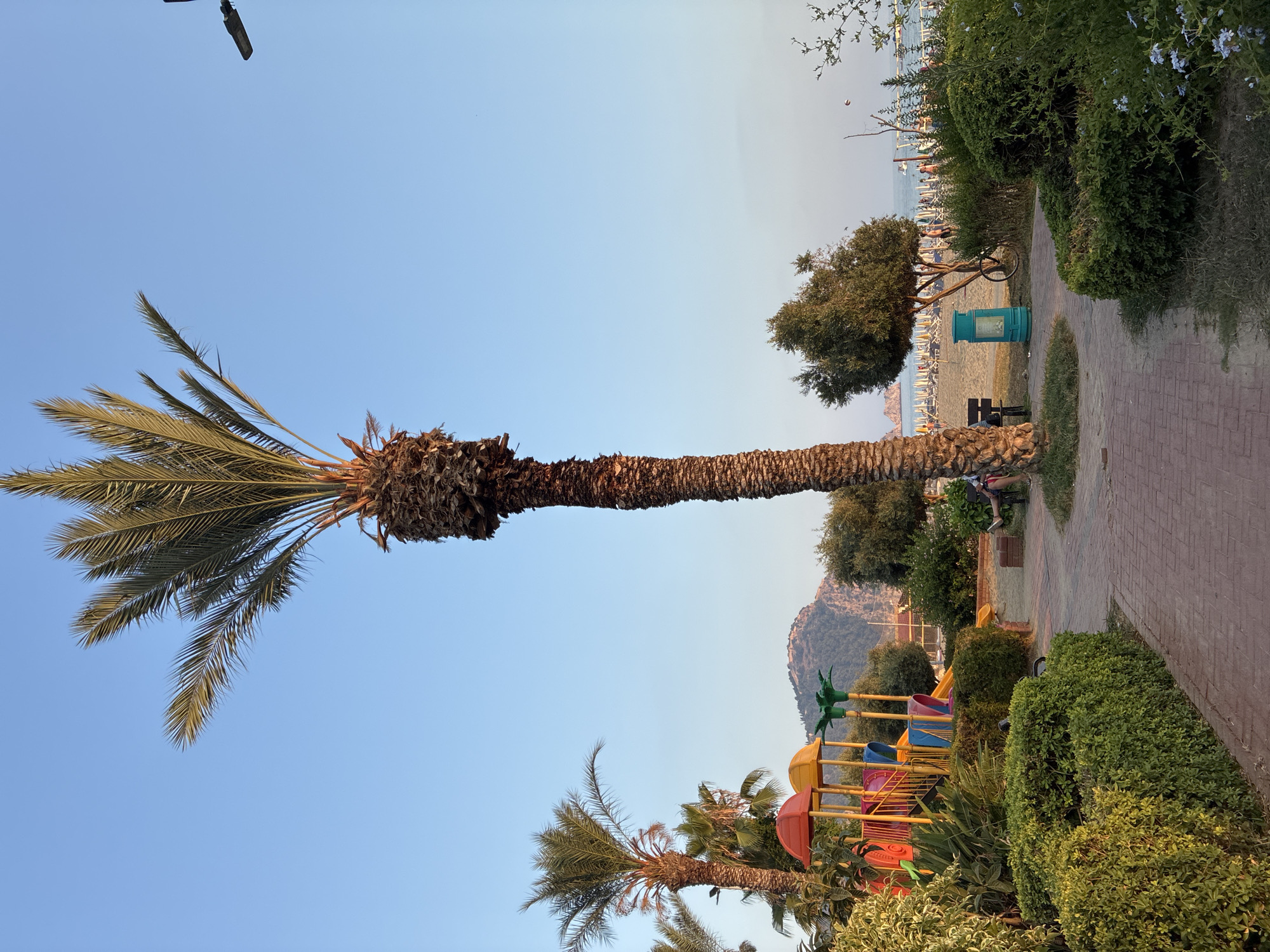 The image depicts a scenic view of a beach resort area in Alanya, Turkey. Dominating the foreground is a tall palm tree, its textured trunk rising towards a clear blue sky. To its left, a vibrant children's playground with colorful slides and structures is visible, suggesting a family-friendly atmosphere. Lush green bushes and manicured hedges line a brick pathway that leads towards the beach. In the background, a sandy beach is dotted with numerous white lounge chairs and umbrellas, indicating a popular tourist destination. Further back, the calm sea stretches out, with boats visible in the distance. A prominent mountain with ancient ruins on its summit stands majestically behind the resort, a characteristic landmark of Alanya. The overall impression is one of a tranquil, sunny day at a Mediterranean seaside.