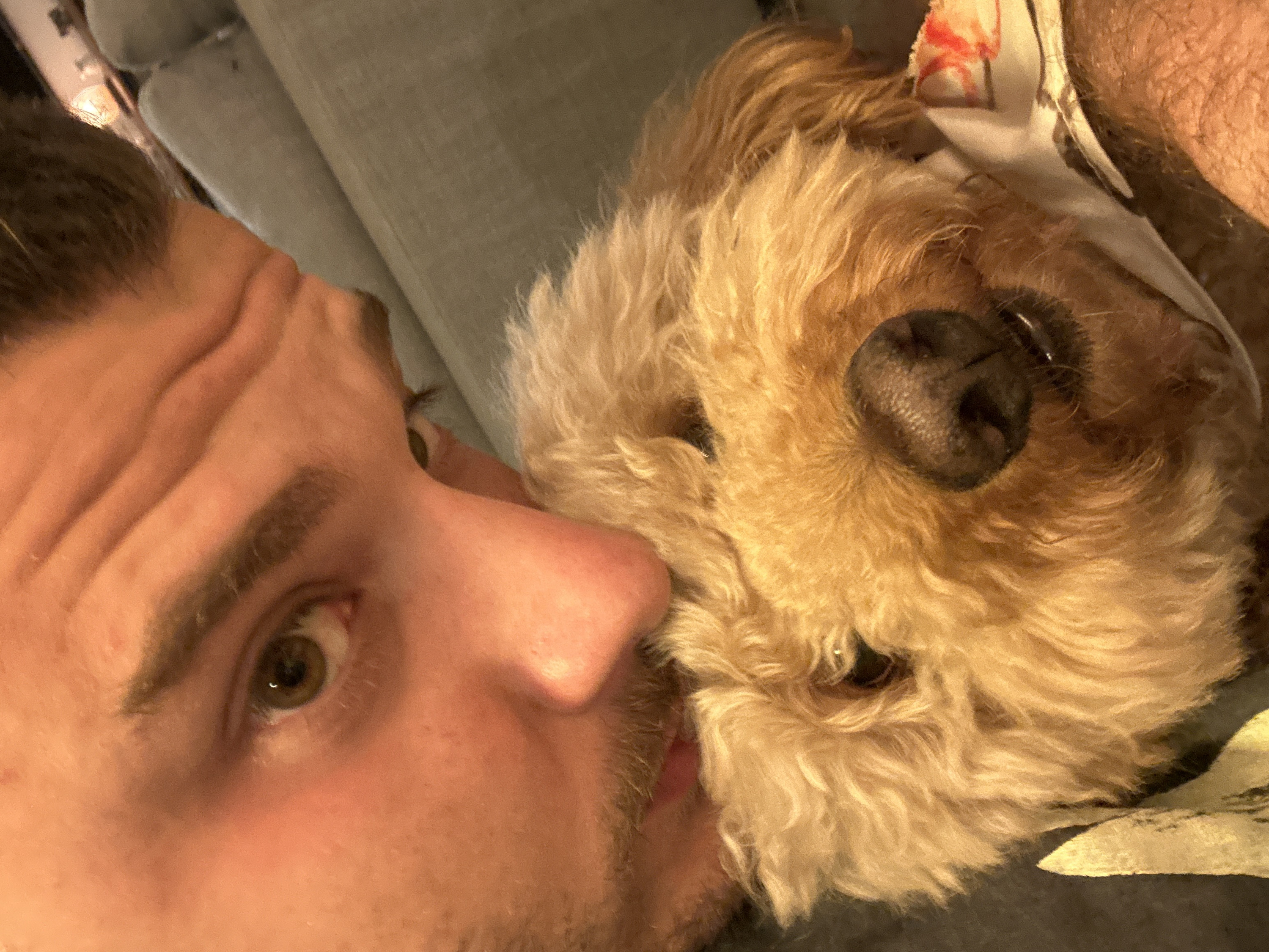 The image captures a close-up, affectionate moment between a person and a dog, taken from a slightly overhead and angled perspective, giving it the feel of a selfie. The dominant colors are warm skin tones, light brown/golden fur, and muted grey/tan in the background.
On the left side of the frame, the left side of a person's face is visible, from the forehead down to the chin. The person has light skin, a prominent nose, and a visible left eye with a hazel or light brown iris. Darker hair is visible on the top of the head and forming a defined eyebrow. There is light stubble on the cheek and chin. The forehead shows some horizontal lines or creases. The person's face is positioned very close to the dog's face, almost nose-to-nose or cheek-to-cheek.
On the right side of the frame is the head of a dog. The dog has dense, curly or wavy fur in shades of light brown, tan, and golden. Its dark, prominent nose is clearly visible and appears wet. One of its dark eyes is partially visible, peeking through the fur. A piece of patterned fabric, white with a reddish-orange design, is visible near the top of the dog's head, possibly a bandana or part of an article of clothing.
The background behind both subjects appears to be a soft, upholstered surface, likely a couch or bed, in a neutral grey or light tan color, suggesting an indoor setting. The lighting is somewhat dim, indicating it might be evening or an indoor environment with subdued illumination. The close proximity of the person and the dog, along with their gentle interaction, conveys a sense of warmth, companionship, and affection. No text is visible in the image.