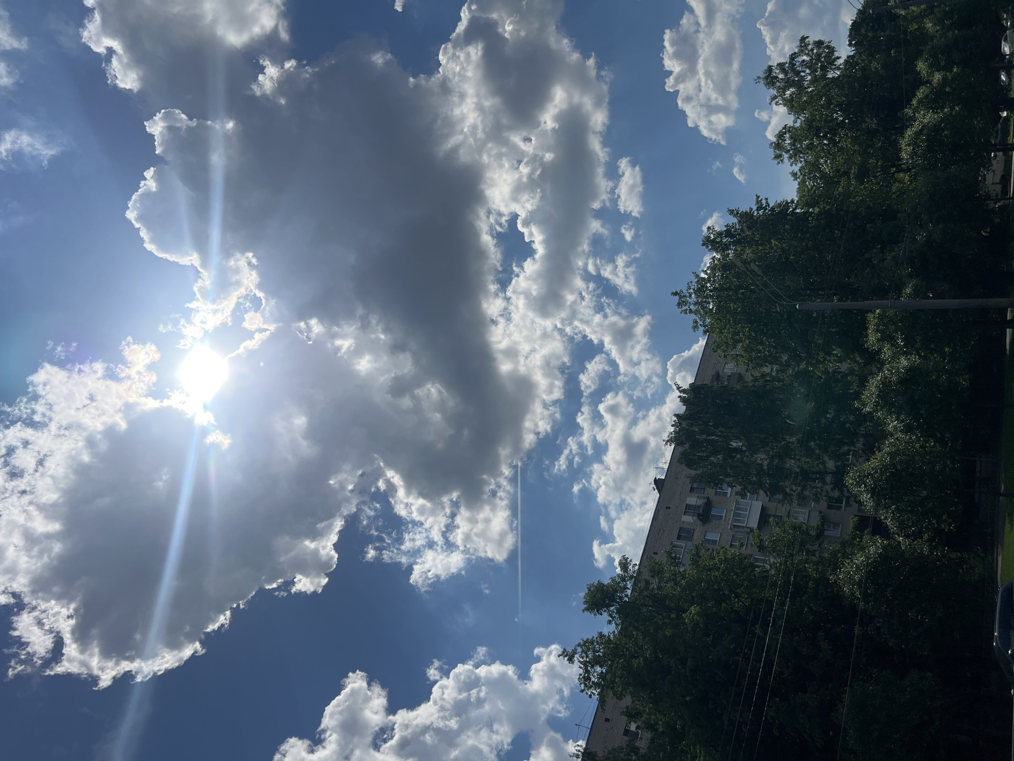 This is an outdoor photograph taken from a low angle, looking upwards towards a bright sky. The scene is dominated by a vibrant blue sky interspersed with numerous white and grey cumulus clouds. On the left side of the frame, the sun is partially obscured by a large cloud, creating a strong sunburst effect, bright lens flares, and distinct sunbeams radiating downwards and to the right.
A thin, white contrail from an aircraft is visible as a straight line across a clear blue patch in the upper-middle section of the sky. On the right side of the image, the dense, green foliage of tall trees partially obscures a multi-story building. The visible section of the building reveals a light-colored facade with several windows and balconies, suggesting a residential structure. A dark, vertical utility pole with visible overhead wires is also present among the trees.
The bright sun and clear sky indicate it is daytime, likely late morning or afternoon, with pleasant, partly cloudy weather. The varying shades of the clouds suggest depth and movement. No specific activity or event is taking place, but the image captures a moment of a clear day in an urban environment. Based on the provided context, the setting is in Saint Petersburg, Russia. There is no visible text in the image.