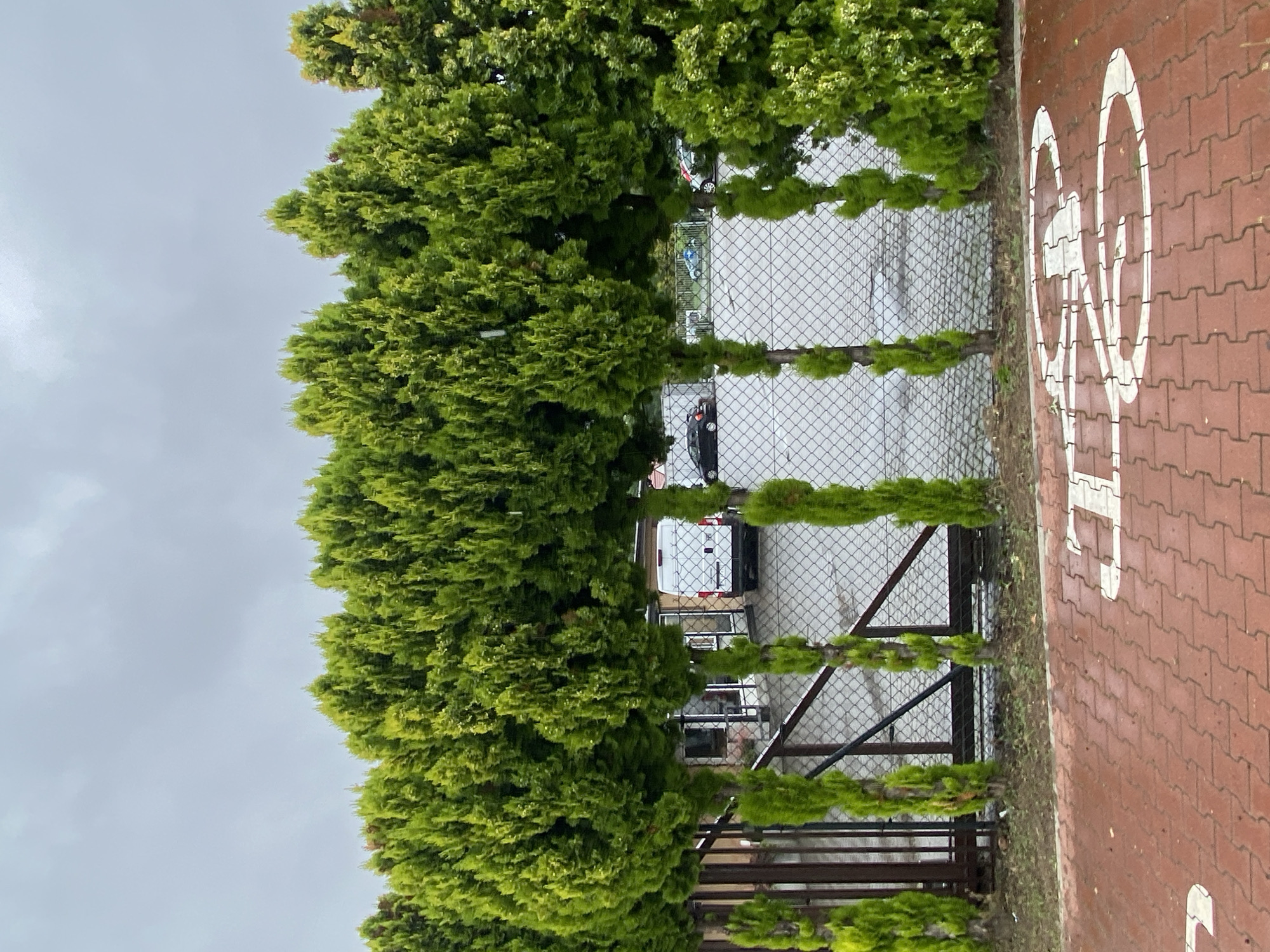 This media file captures an outdoor scene with lush green trees in the foreground. Beyond the trees, a chain-link fence separates the viewer from a paved area where vehicles are parked. A white van and a dark-colored car are visible. The ground on the right side of the image is paved with reddish-brown bricks, and a white stencil of a bicycle is painted on it, indicating a bicycle path or parking area. The sky is overcast and gray, suggesting cloudy weather. The overall impression is a slightly damp and cool day in a semi-urban or residential area. The image appears to be taken during daylight hours. The location context provided is Dobieżyn, Poland. No people are visible in the image, and the primary subjects are the natural elements of the trees and the man-made elements of the fence, vehicles, and paving.