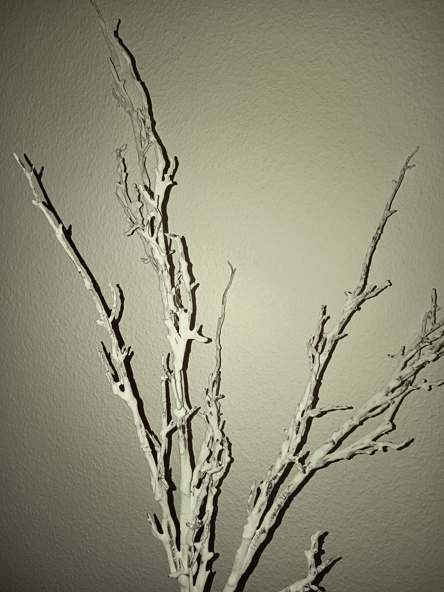 The image shows a close-up of several dried, white-painted branches against a light-gray, textured wall. The branches are bare, with numerous smaller twigs and offshoots. The lighting is uneven, casting distinct shadows of the branches onto the wall. No people, subjects, objects, actions, interactions, or information about the city of Wangen bei Olten, Switzerland, are present in the image.