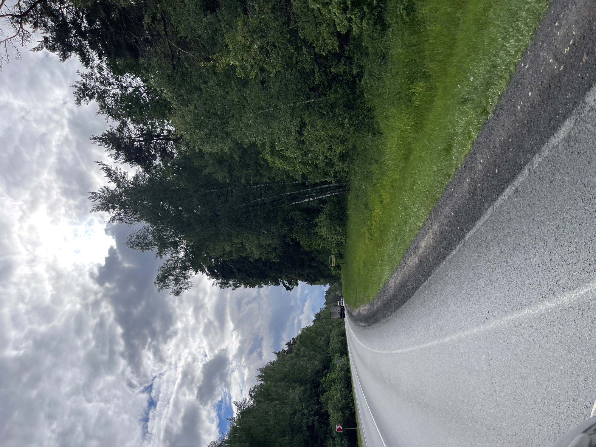 The image presents a rural road in Semyonovskoye, Russia. The asphalt is smooth, and the median stripe is painted white. The roadside has lush green grass and a thick forest line. The sky is overcast with heavy cloud cover, although the sun is still visible. There is little traffic on the road. The trees and the presence of clouds create an environment of overcast conditions.