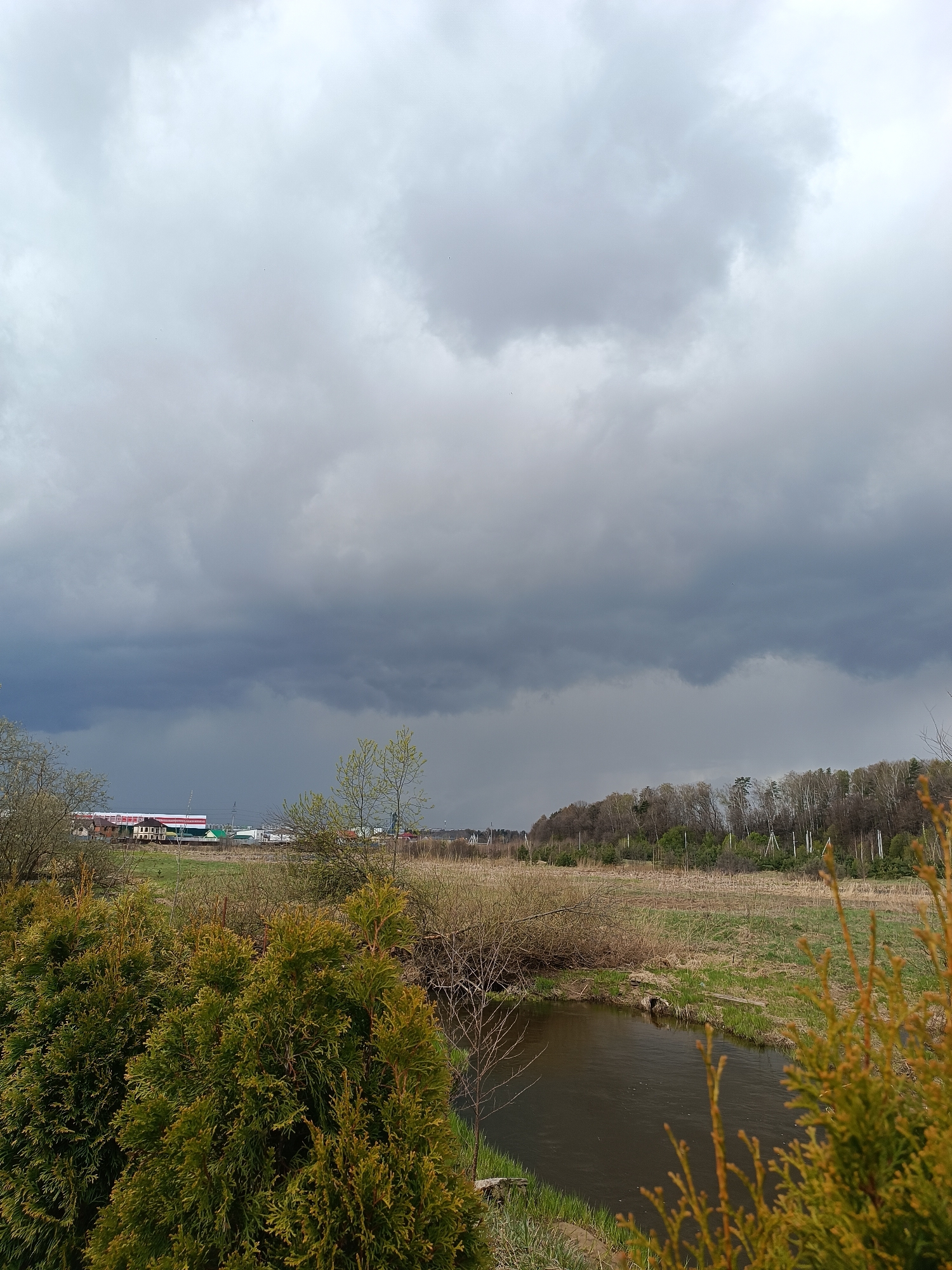 The image depicts a landscape scene in Motyakovo, Russia under an overcast sky. A stream flows through a grassy field, bordered by trees and bushes. In the foreground are evergreen shrubs. In the background, buildings and a forested area are visible. The overall atmosphere suggests a cloudy and possibly rainy day. There are no people visible in the image.