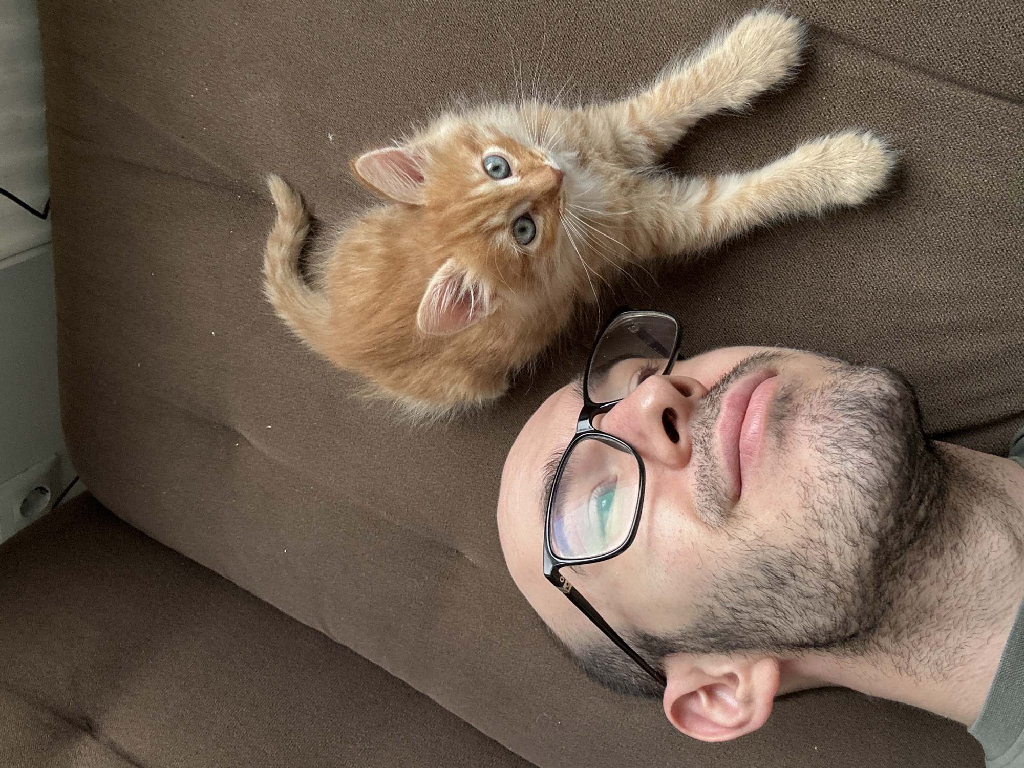 An overhead shot shows a small ginger tabby kitten and a man resting on a brown, textured sofa or couch.
The kitten, with fluffy orange fur, distinct stripes, and bright blue eyes, lies on its back in the upper half of the frame. Its front paws are outstretched, and its head is turned slightly to the left, appearing to gaze beyond the camera's view with a curious expression. Its small, pink ears and prominent white whiskers are clearly visible, along with its furry, curled tail.
The man is positioned in the lower right, seen from the nose down, lying on his back. He has short dark hair and stubble on his face. Black-framed glasses rest on his nose, reflecting a greenish-blue hue. His pink lips are slightly parted, conveying a relaxed posture. A portion of his ear and a green shirt collar are also visible.
The setting is indoors, with a soft, even light source. In the background on the far left, a light-colored wall or object is partially visible, along with a dark cable and a power outlet, confirming an indoor environment. The brown fabric surface beneath them shows minor flecks of lint or dust. There is no visible text in the image. The scene suggests a quiet moment of companionship or rest between the man and the young kitten.
