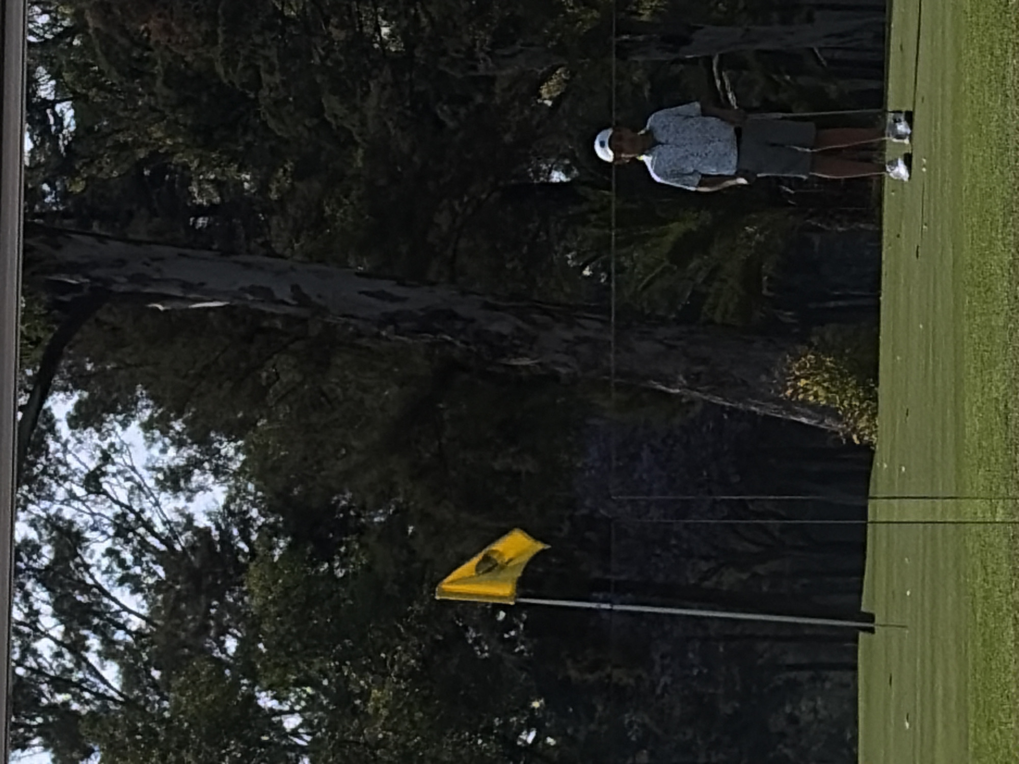 A male golfer stands on a green, preparing to hit a golf ball towards a yellow flag marking the hole. The scene suggests a golf course environment, bordered by a backdrop of dark trees and foliage. The image does not provide information to confirm the location in the city of Puebla, Mexico.