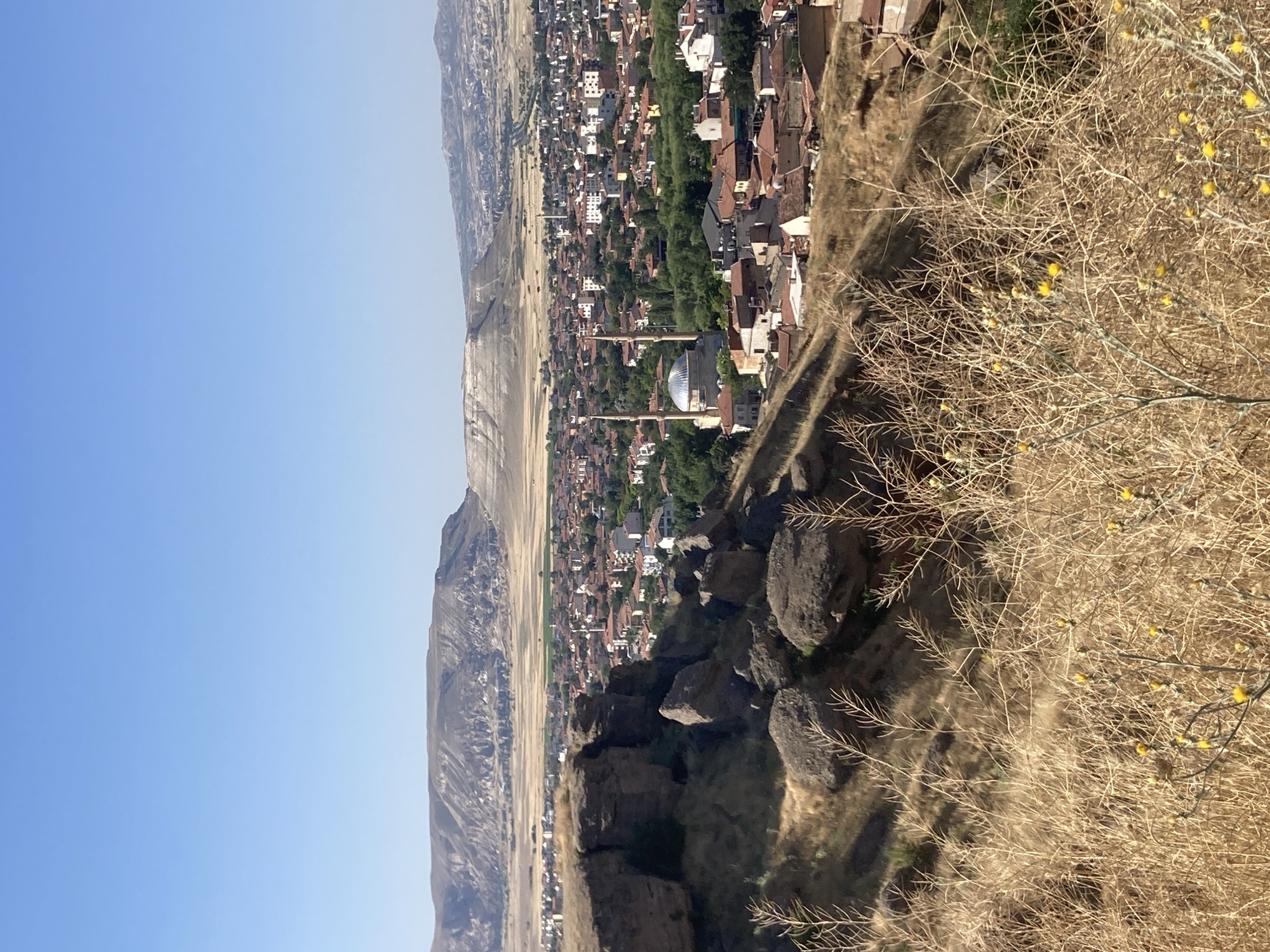 This is a wide, eye-level, full outdoor shot of the city of Avanos İlçe Merkezi, Turkey. In the foreground, a rocky outcrop and dry, yellow grass with small yellow flowers dominate the scene. The middle ground reveals a dense residential area with red-tiled roofs and white-walled buildings. A prominent mosque with a dome and minaret stands out in the city center. Behind the city, a vast, arid landscape stretches out, characterized by layered, eroded hills and mountains under a clear, bright blue sky. The overall impression is of a sun-drenched, sparsely vegetated, urban environment nestled within a dramatic natural landscape. There are no people visible in the image.