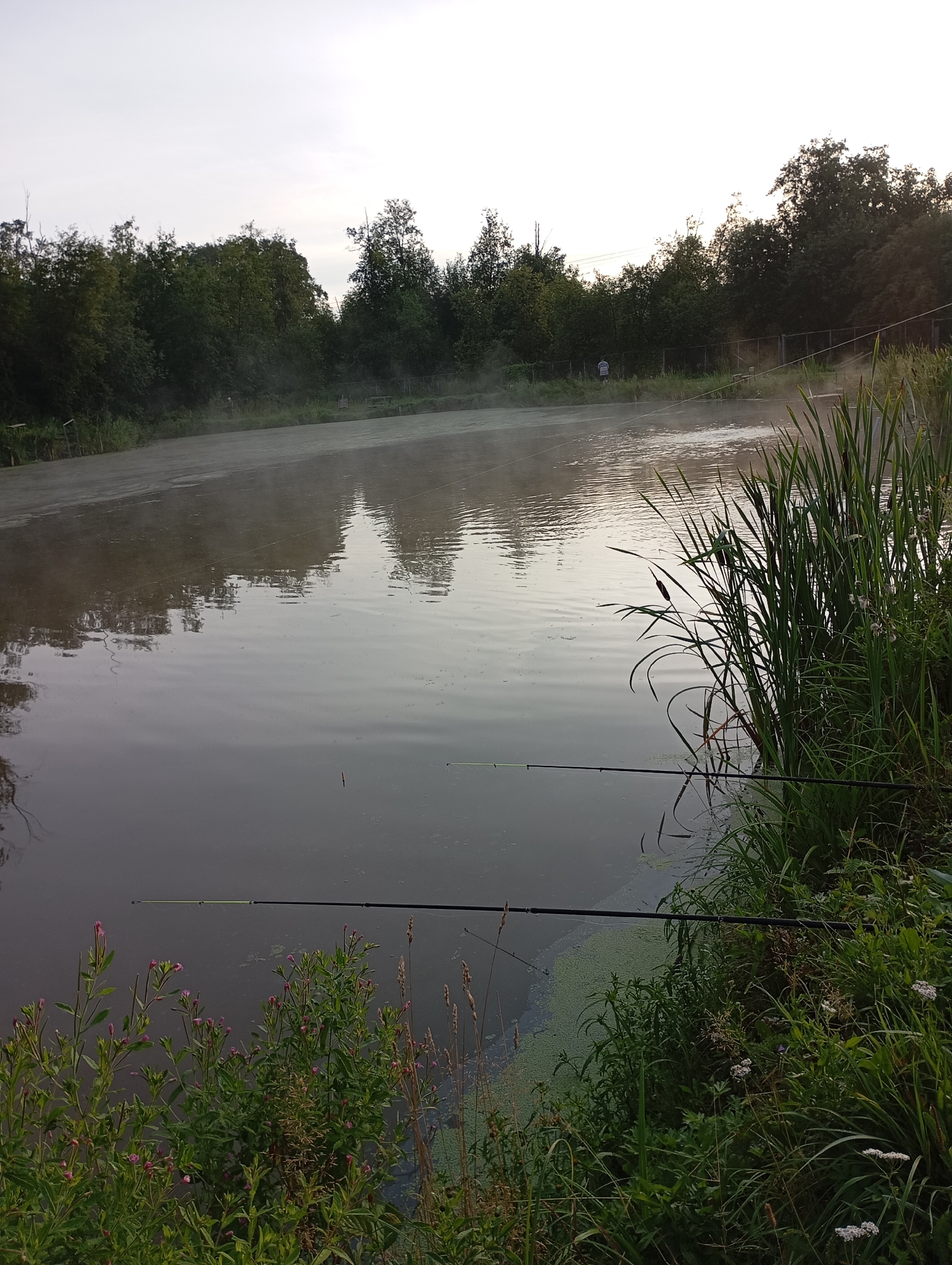 The image depicts a tranquil scene at a body of water, likely a pond or small lake, in the village of Malyi Bukor, Russia. The water is calm and reflects the overcast sky and surrounding trees. A light mist hovers over the surface of the water, suggesting a cool morning or evening. Two fishing rods are set up on the bank, with their lines extending into the water. The bank is overgrown with lush green vegetation, including tall reeds, grasses, and small flowering plants with pink and white blossoms. In the background, dense trees form a natural barrier along the far bank. A thin wire fence can be seen in the distance, with a solitary figure standing near it. The overall atmosphere is one of peaceful solitude and natural beauty.