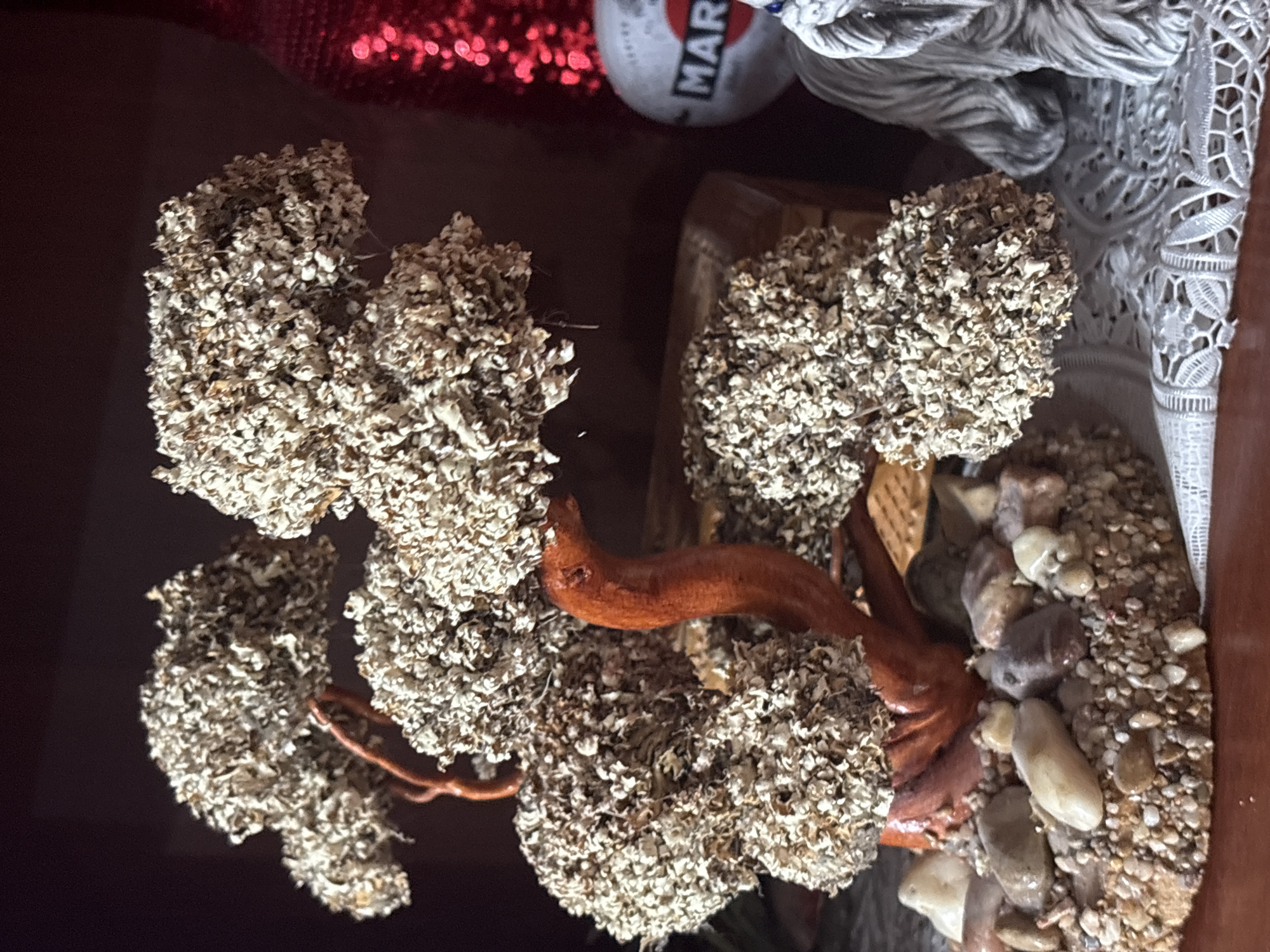 The image shows a decorative miniature tree made of dried plant material, resembling a bonsai. The tree has a reddish-brown trunk and branches, with clusters of light-colored, textured foliage. It is planted in a base adorned with small stones and pebbles. To the right of the tree, a portion of a white ceramic object with a red and blue logo that appears to say "MARTINI" is visible, along with a blurred red, sequined object. Further to the right, a grey, fuzzy object, possibly a statue or figurine, with textured hair-like material is present. The scene appears to be set on a white lace doily, with a dark wooden shelf or surface in the background. There is no information available to determine the location of Sovkhoza "Razdol'e", Russia.