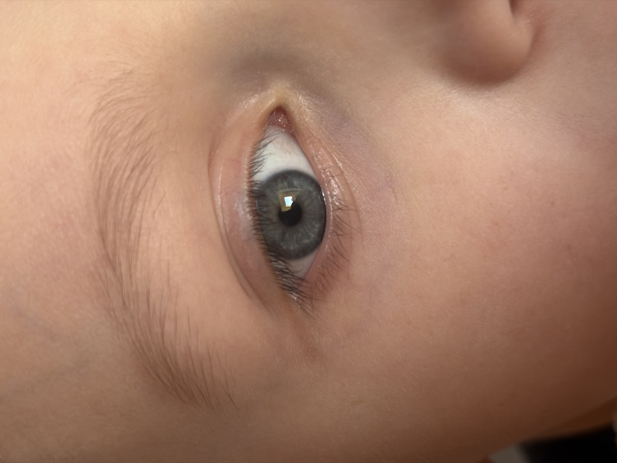 A close-up shot of a child's face is presented. The focus is on the child's left eye, featuring a grey iris and visible eyelashes. Above the eye is a light-colored eyebrow with fine hairs. The skin is fair, and the background is blurred. The subject and environment are non-indicative of Saint Petersburg, Russia.