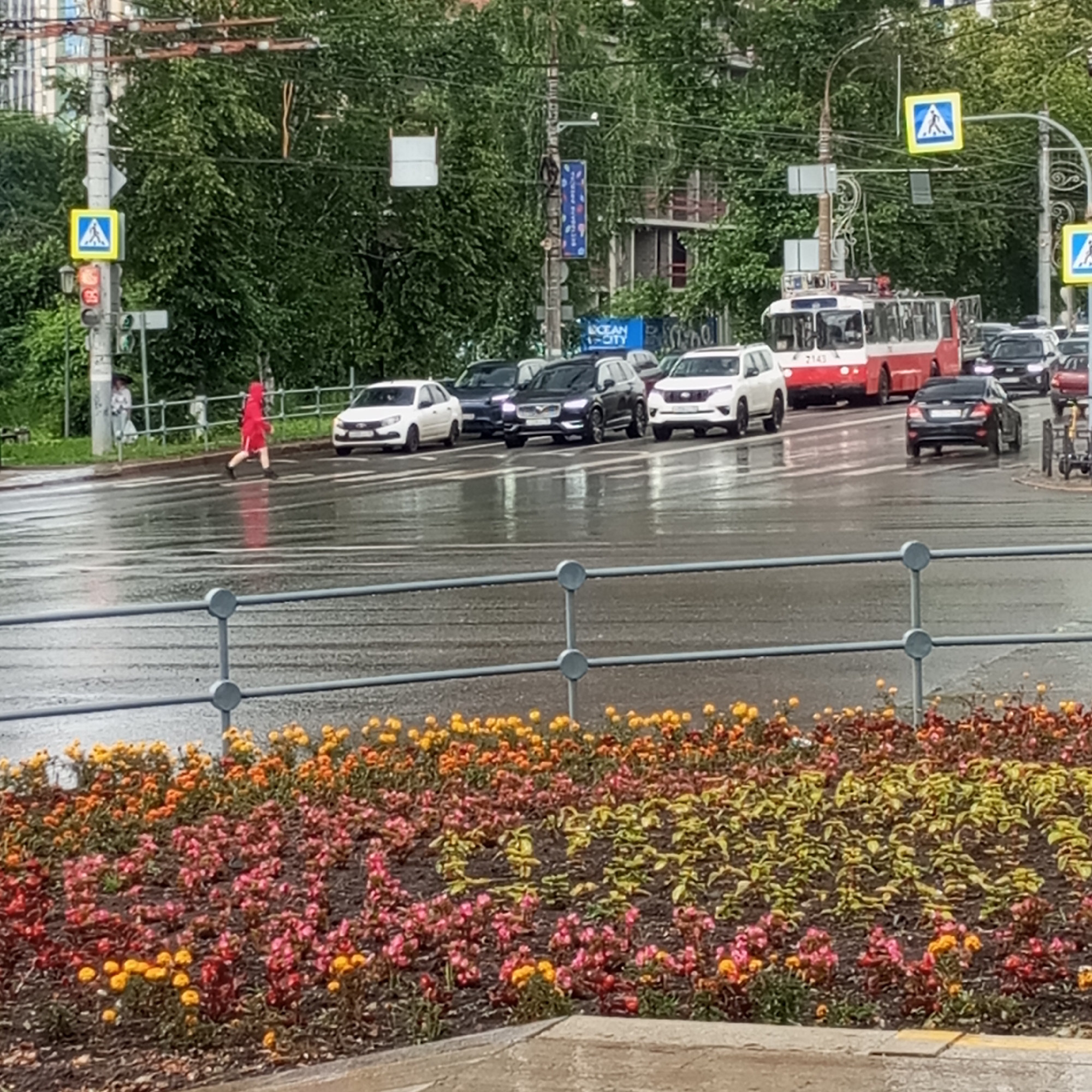 This media file captures a street scene in Izhevsk, Russia, likely during the daytime. The weather appears to be rainy, as evidenced by the wet road surface, reflections on the asphalt, and the presence of a person holding an umbrella.
The central focus is a pedestrian crossing where a person in a bright red hooded jacket is walking across the street. Several vehicles are present, including a red and white trolleybus with the number "2143" visible on its front, a white SUV, a black SUV, a white sedan, and other cars in the background. Traffic lights and pedestrian crossing signs (a blue square with a white pedestrian symbol) are visible on utility poles, indicating an urban intersection.
In the foreground, a flower bed filled with colorful flowers, predominantly in shades of pink, red, and yellow, adds a decorative element to the scene. Trees line the street, their leaves a vibrant green, suggesting it is likely summer or early autumn. The overall atmosphere suggests a normal day in a city, with the rain being a notable weather condition. No specific emotions are overtly conveyed, but the scene depicts the routine flow of urban life under inclement weather.