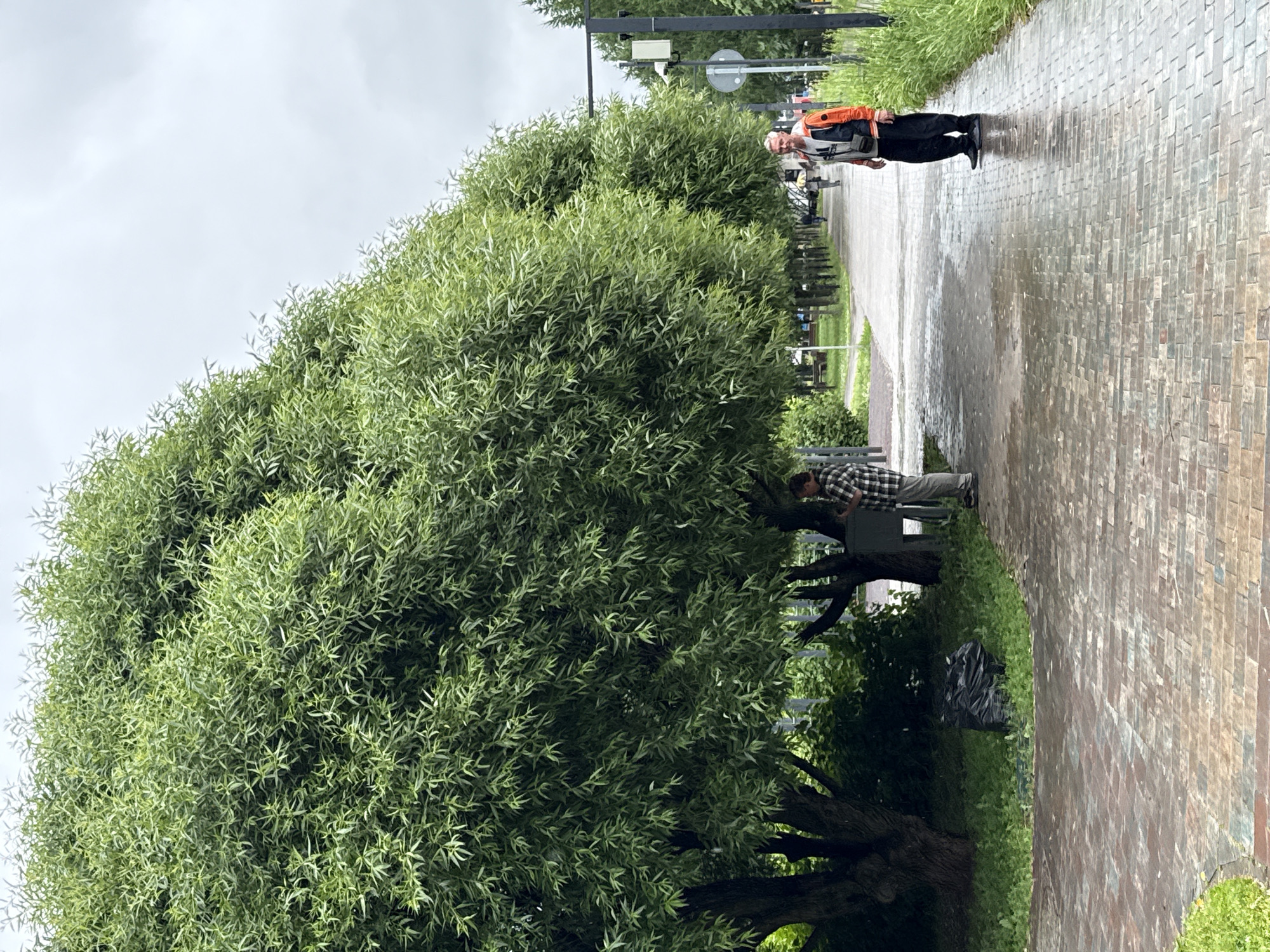 A full shot captures a paved walkway lined with large trees in Moscow, Russia. A man in an orange and grey jacket and black pants stands on the walkway, facing a row of trees. To the left of the walkway, another person in a plaid shirt is partially visible. The walkway is wet, indicating recent rain. A black garbage bag is placed on the grass to the left, near the base of a tree. In the background, more trees and lampposts line the walkway. The sky is overcast.