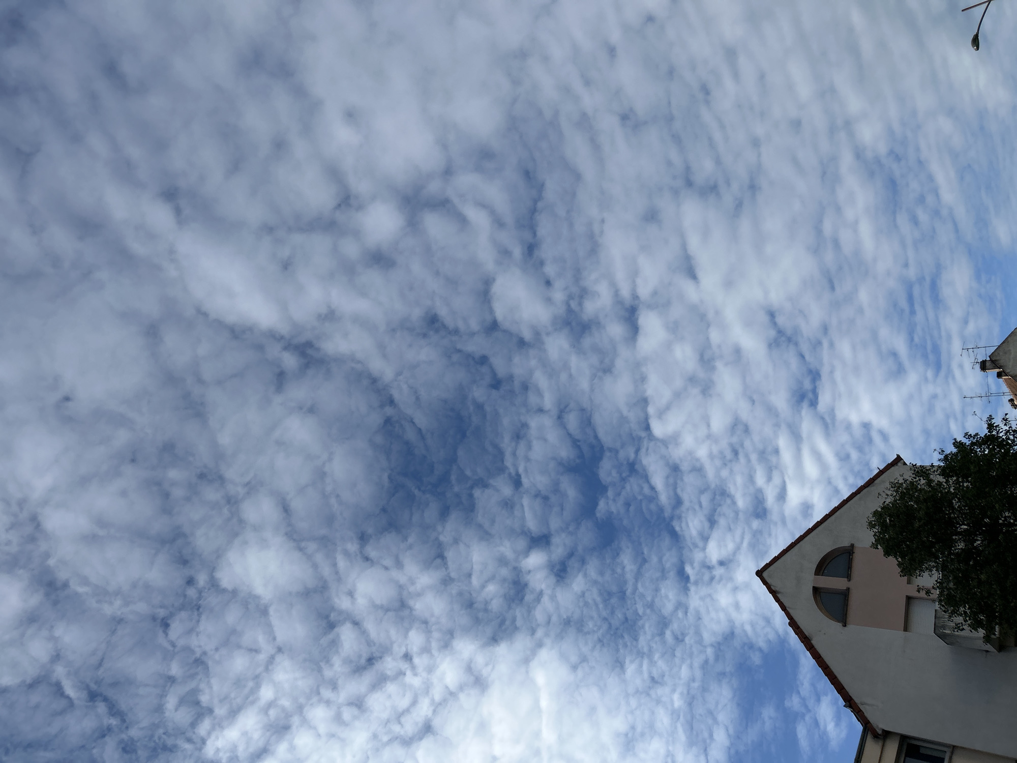 The image shows a building in Strasbourg, France, viewed from below. The building has a distinctive triangular gable with a round window featuring a cross design. A tree partially obscures the right side of the building. Above the building is a sky filled with altocumulus clouds, creating a textured and dynamic backdrop. A street light pole is visible in the upper right corner.
