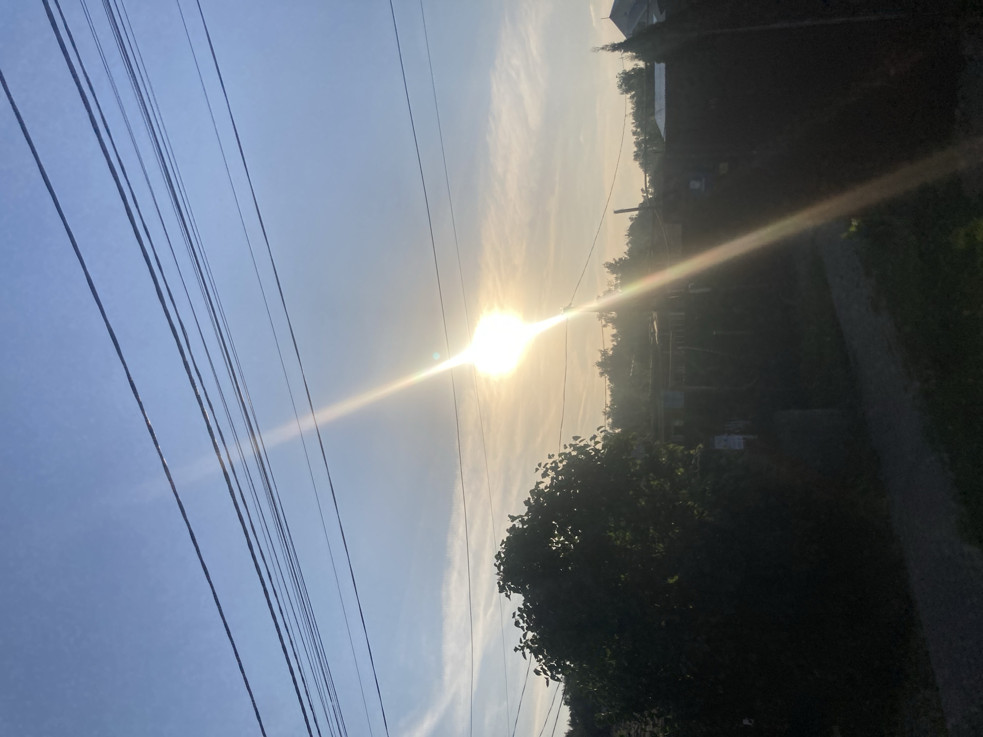 This image displays an outdoor scene in Novoaleksandrovo, Russia, under a predominantly clear blue sky with scattered wispy clouds. The sun is a dominant, intensely bright light source positioned in the upper-middle left quadrant, producing a prominent vertical lens flare that extends downwards. Seven distinct, dark utility lines are strung horizontally across the upper third of the frame. The lower portion of the scene is cast in deep shadow, revealing a dense, dark green tree or large bush on the left, and a series of dark, low-lying structures, likely fences or buildings, along the horizon on the right. A narrow, unpaved path is visible in the bottom-left. No human subjects or discernible actions are depicted.