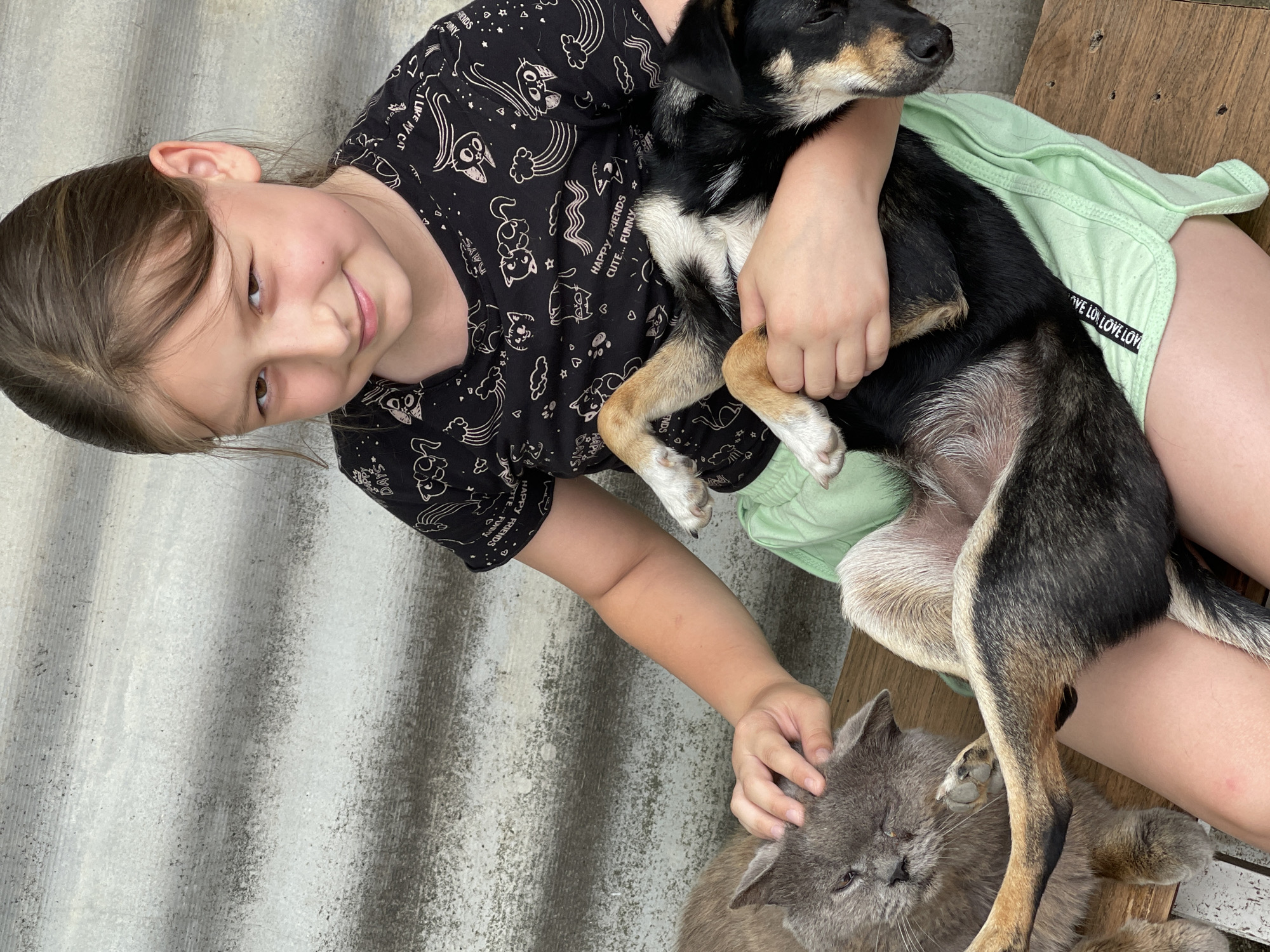 In Levokumka, Russia, a young girl with brown hair, wearing a black t-shirt with white cat prints and light green shorts, sits on a wooden bench outdoors. She is holding a black and brown dog in her lap. To her left, a gray cat rests, with the girl's left hand gently petting its head. The background consists of a corrugated metal wall.