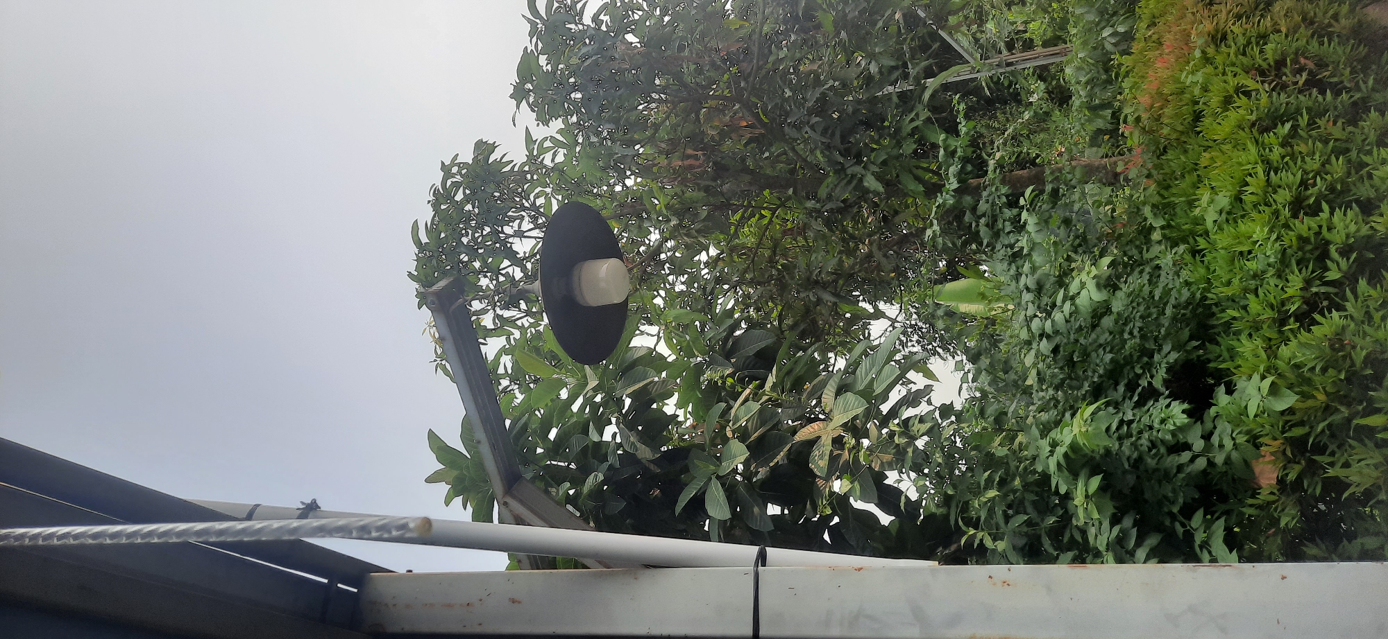 The image shows a streetlamp with a black shade and a white light bulb, attached to a metal pole. The lamp is positioned in front of lush green trees and foliage, with a pale sky visible above. The scene appears to be outdoors in a natural setting, possibly a park or garden within the city of Cisauk, Indonesia. There are no people or animals visible in the frame.