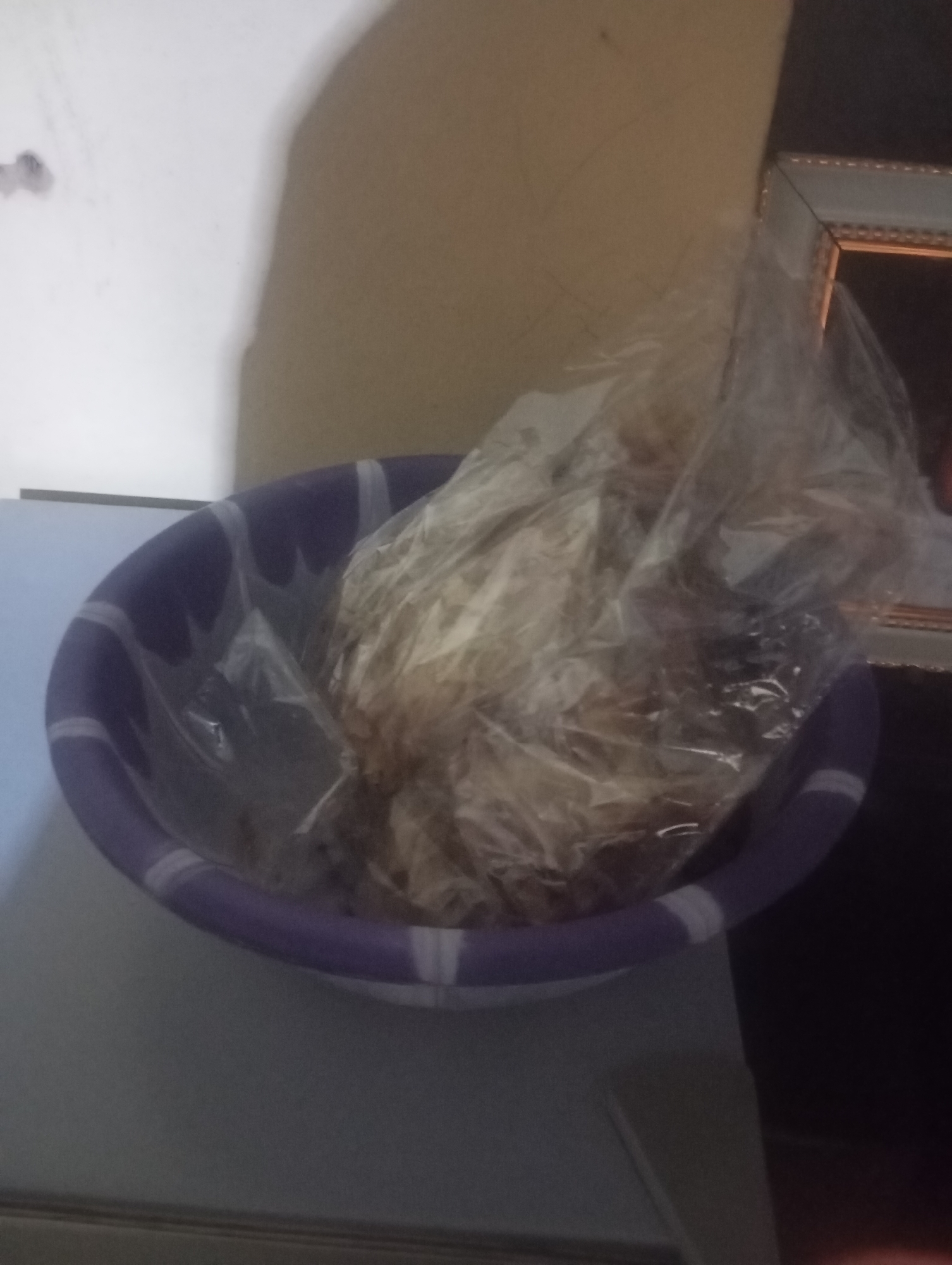 A close-up, waist-level shot captures a purple and white striped plastic basin filled with what appears to be dried leaves or organic matter, covered by a transparent plastic bag. The lighting is dim, creating shadows and obscuring some details. In the background, a plain, light-colored wall transitions into a darker area, and a framed picture or mirror is partially visible on the right. The overall scene suggests an indoor setting, possibly a domestic environment in Jos, Nigeria, where the organic matter might be stored for various purposes such as composting or traditional remedies.