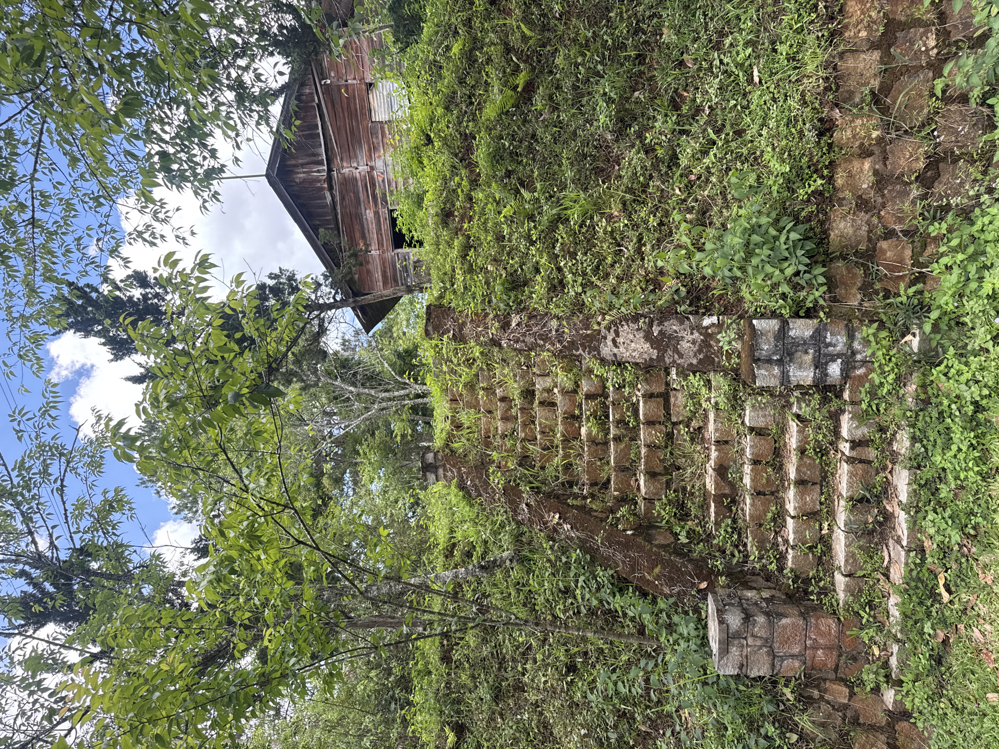 The image depicts a stone stairway overgrown with vegetation. The steps are made of rectangular blocks of stone and appear aged, with moss and plants growing between the cracks. To the left of the stairs, a grassy hill slopes upward. Above the hill, a wooden structure with a dark roof is visible. Trees with green foliage are present on the left side of the frame, reaching towards a sky with clouds. The location is Păng Tiêng 1, Vietnam.