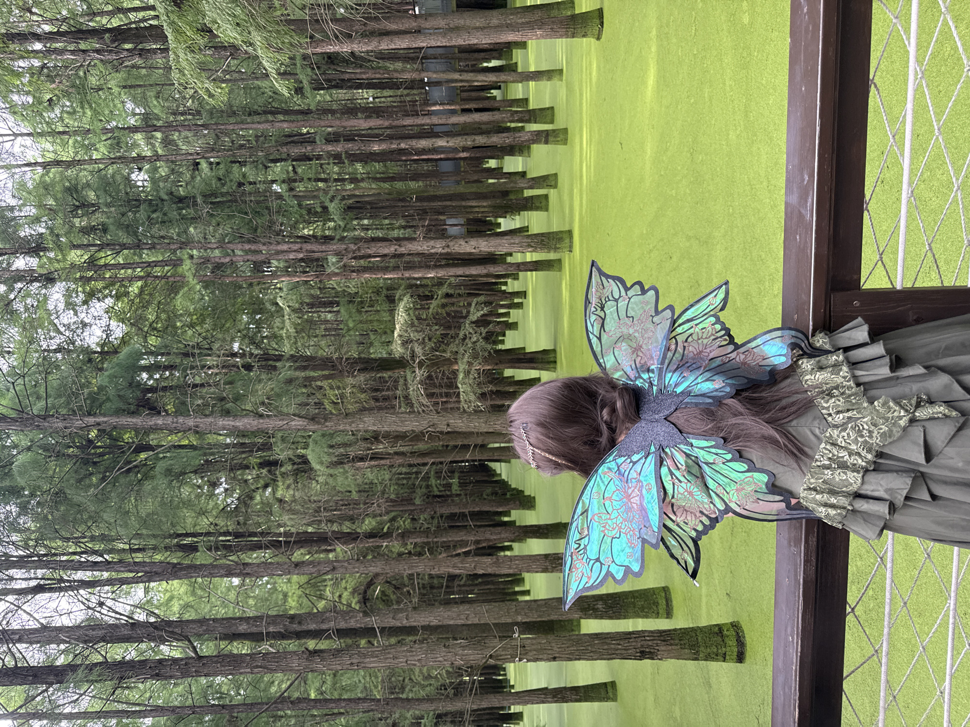 In the city of Lin'an District, China, a person wearing a fairy costume with large, iridescent wings is standing on a wooden observation deck, looking out at a flooded forest. The forest floor is covered in a thick, vibrant green carpet of duckweed, with tall, slender trees rising out of the water. The person's back is to the camera, revealing a detailed costume with ruffled fabric and lace accents. The observation deck has a wooden railing and a netted barrier below. The environment suggests a unique natural landscape with an elevated viewpoint for visitors.