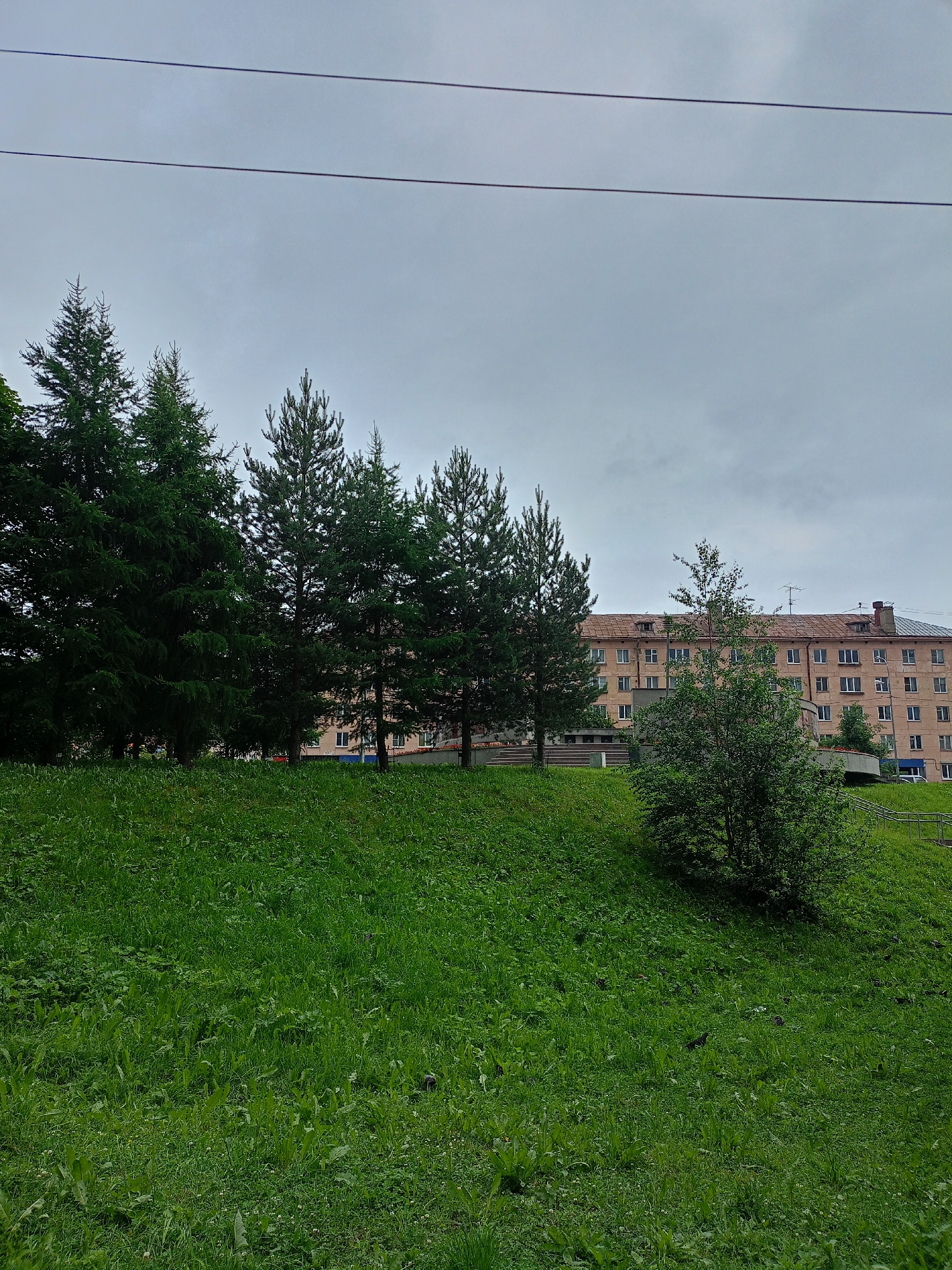 A low-angle, outdoor shot captures a grassy hill in the foreground, leading up to a row of tall evergreen trees. Beyond the trees, a light-colored, multi-story building with a tiled roof and numerous windows is visible. The sky above is overcast and grey, suggesting a cloudy or overcast day. In the distance, the building appears to be a residential apartment building, with a few small antennas on the roof. The grassy hill is covered in lush green grass and some scattered foliage. There are no people or distinct objects in the scene, other than the natural elements and the building. The overall impression is one of a quiet, residential setting, possibly in a park-like area or a suburban neighborhood. There is no visible text in the image.