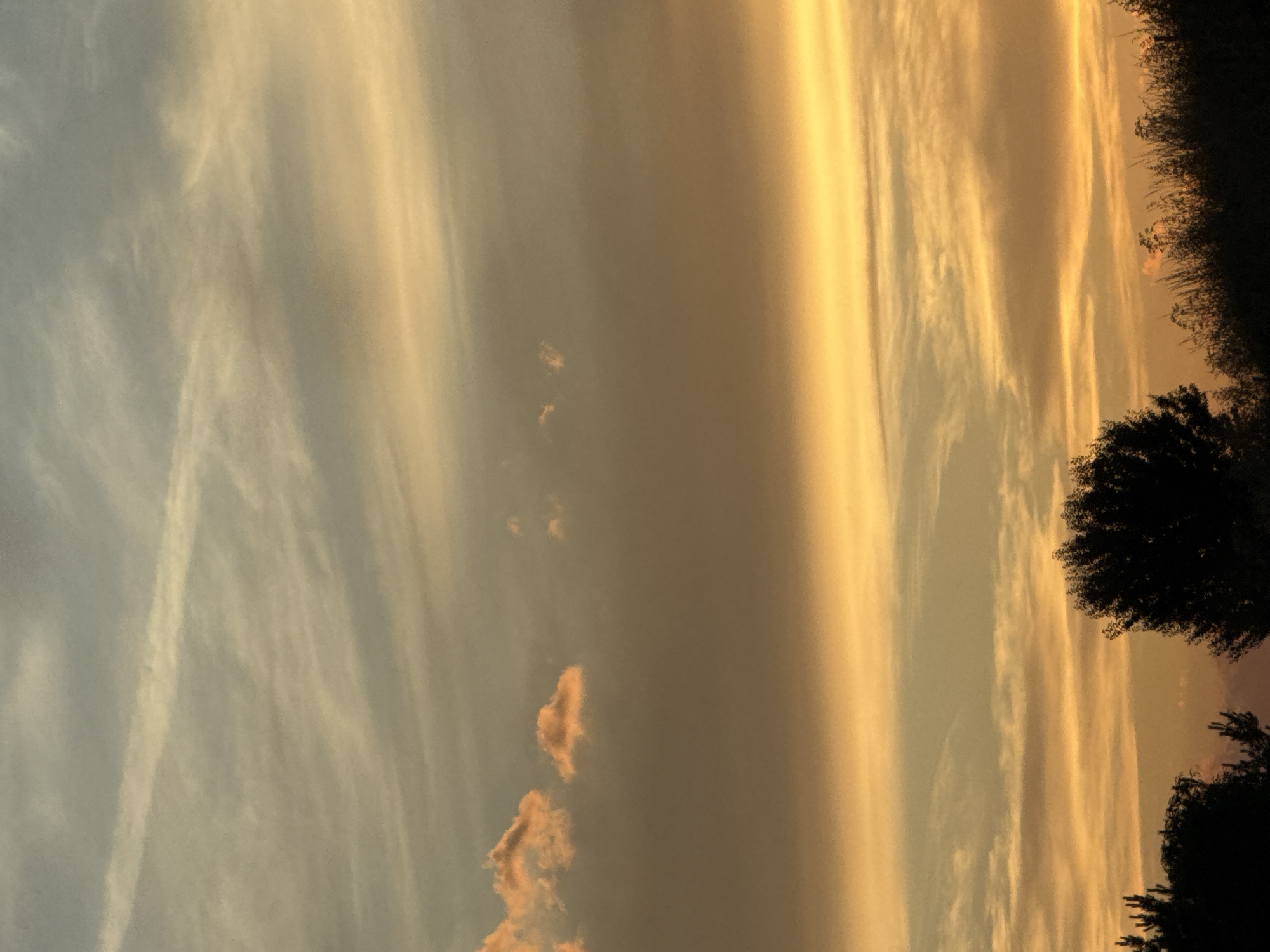 The image displays a vertical, panoramic view of a sunset or sunrise sky. The sky is filled with elongated clouds, with a distinct band of bright golden light dominating the right side of the frame. This golden light contrasts with the softer, pale blue and gray tones of the clouds on the left. Wispy, white streaks of clouds are scattered throughout the sky, creating a sense of depth and movement.
On the far right edge of the image, silhouetted against the bright sky, are the dark outlines of trees. The trees are dense and leafy, suggesting a natural landscape. The overall mood of the image is serene and peaceful, evoked by the soft lighting and the expansive sky. The time of day is clearly indicated by the warm hues of the sunset or sunrise. The location context of Panaiot-volovo, Bulgaria, places this scene in a rural or natural setting. There is no visible text in the image.