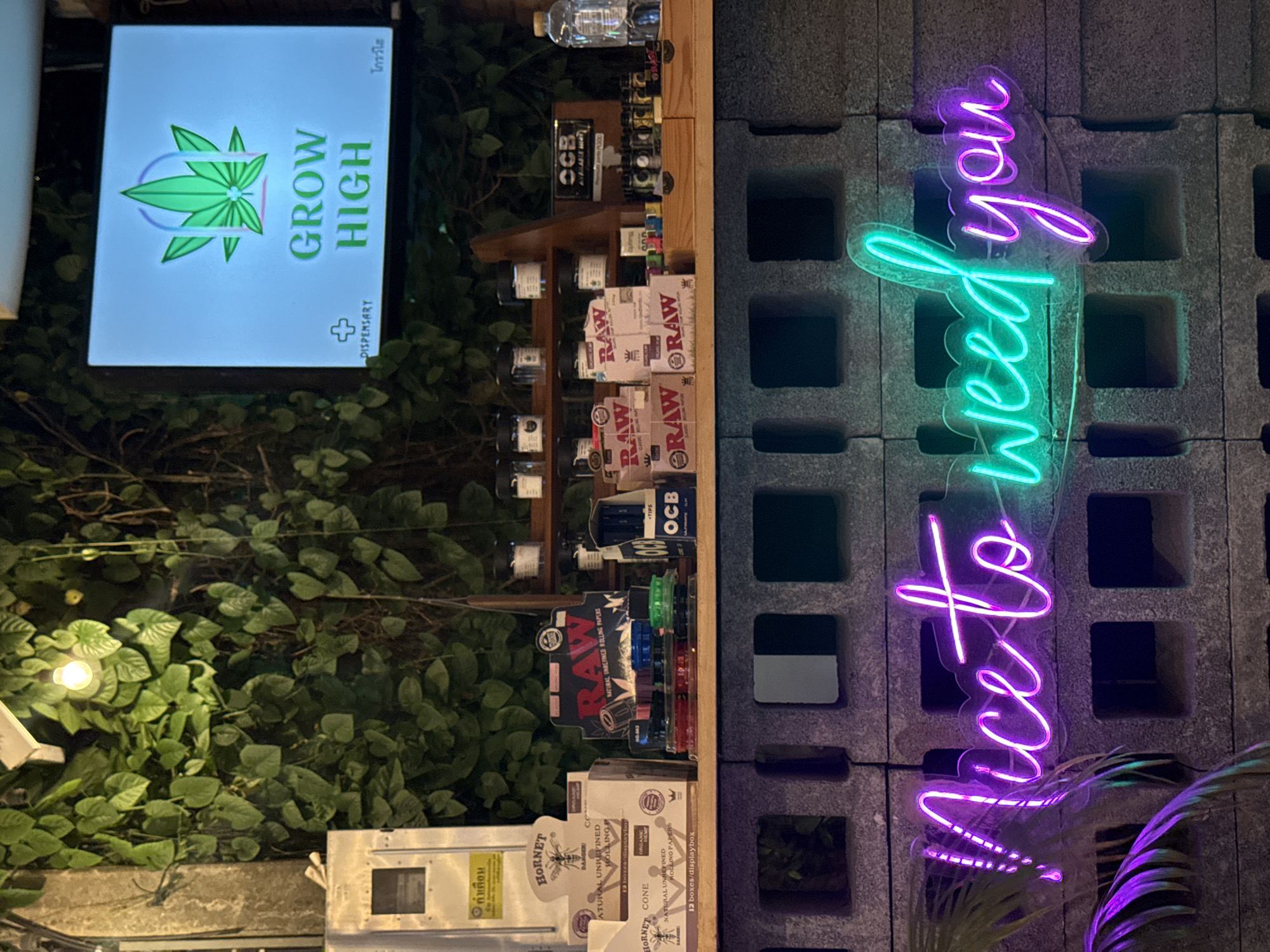 The image shows the interior of a dispensary in Baan Bo Phut, Thailand. A neon sign spelling "Nice to weed you" is prominently displayed in the foreground, with purple and green lights. Behind the sign, shelves are stocked with various products, including rolling papers, grinders, and jars, suggesting the sale of cannabis-related items. A screen in the background displays a logo with a marijuana leaf and the text "GROW HIGH." The environment appears to be a retail space with a rustic, urban aesthetic, featuring concrete block walls and lush green foliage.