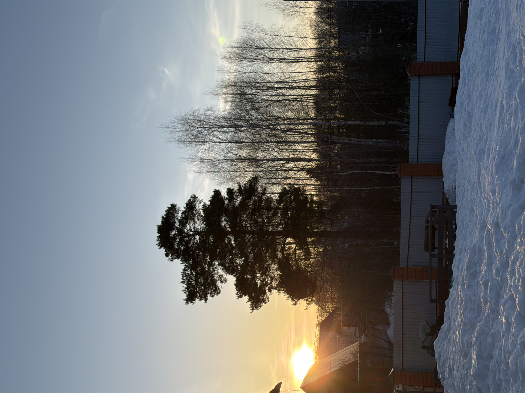The image depicts a winter scene in Chaikovsky, Russia. The sun is setting, casting a warm glow on the horizon. A large evergreen tree is silhouetted against the sky, with bare trees behind it. In the lower right, snow is piled up against a fence. There are buildings below the evergreen tree. The sky is clear blue above the trees, transitioning to the orange glow of the sunset.
