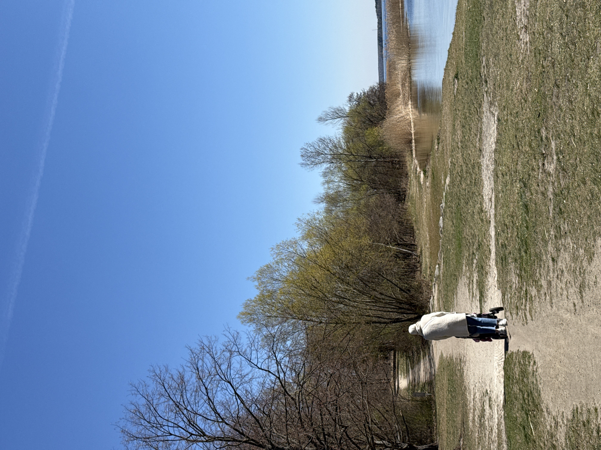 The image shows an outdoor scene in Senftenberg - Zły Komorow, Germany. A person, clad in a white coat and blue jeans, is standing on a dirt path. They are oriented perpendicular to the path and facing away from the camera, next to what appears to be a mobility scooter or wheelchair. The path is flanked on one side by a grassy area and on the other by trees with varying degrees of foliage, from bare branches to budding leaves. Beyond the trees, reeds grow along the water's edge of a body of water, likely a lake or a large pond. The sky is clear blue with a contrail present.