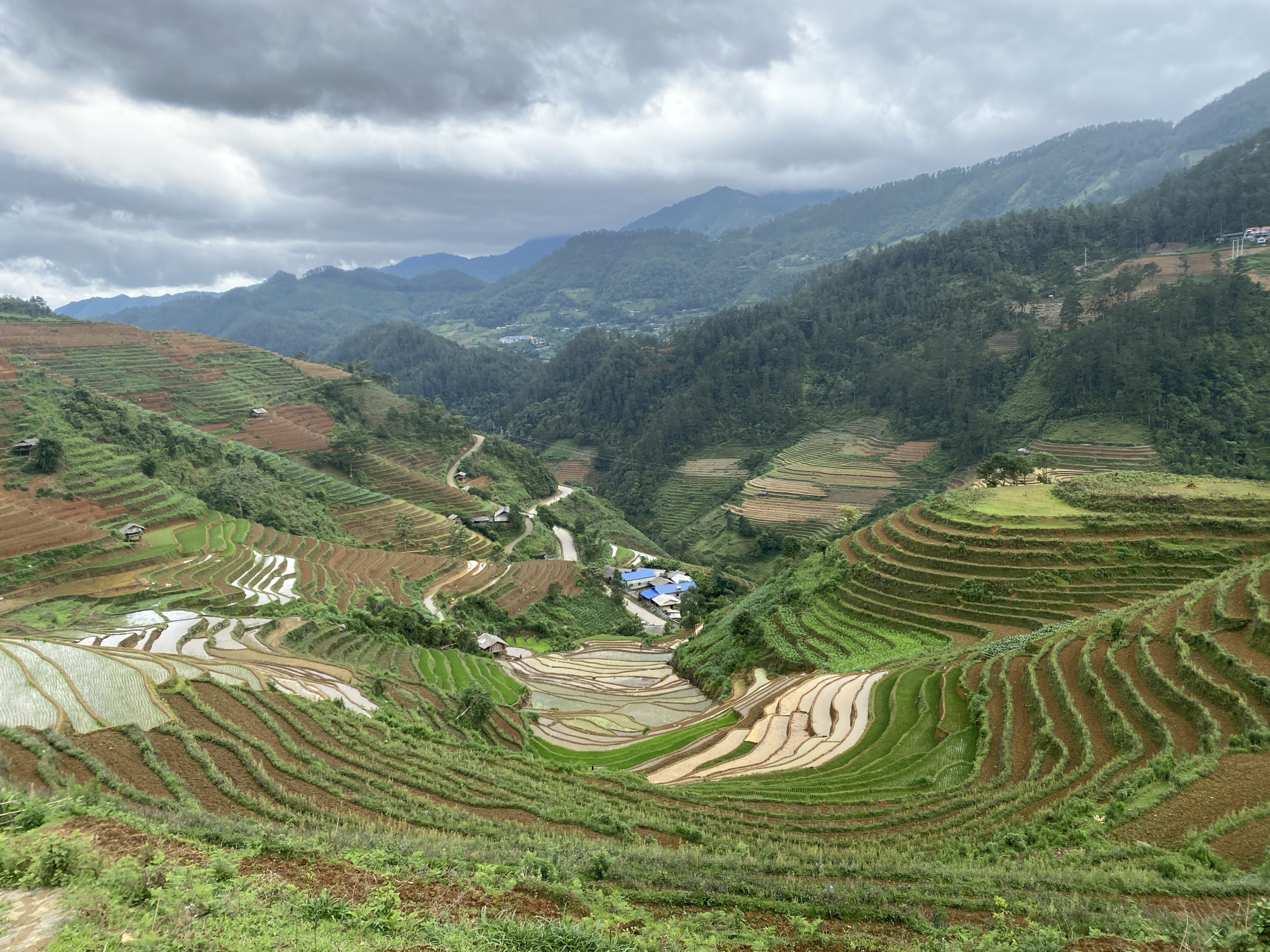 The image presents an expansive, elevated view of terraced agricultural fields integrated into a mountainous landscape in Dế Xu Phình, Vietnam. The sky above is entirely overcast with a dense, uniform layer of dark gray clouds.
The terrain features numerous undulating hills and mountains covered in dense, dark green forestation, receding into the background. The foreground and midground are dominated by an intricate system of tiered rice paddies. These terraces display varied conditions: some are flooded with standing water, appearing pale and reflective; others are cultivated with vibrant green crops, indicative of young plants; and many consist of reddish-brown, tilled earth. Scattered across these terraces are several small, isolated huts or shelters with brown roofs.
In a central valley section, a cluster of approximately five buildings with distinct blue roofs is visible alongside a light-colored, winding road. This road navigates through the valley and ascends into the adjacent hillsides. No individuals, animals, or specific actions are discernible within the frame. The overall environment suggests a rural, agricultural setting under cloudy daytime conditions.