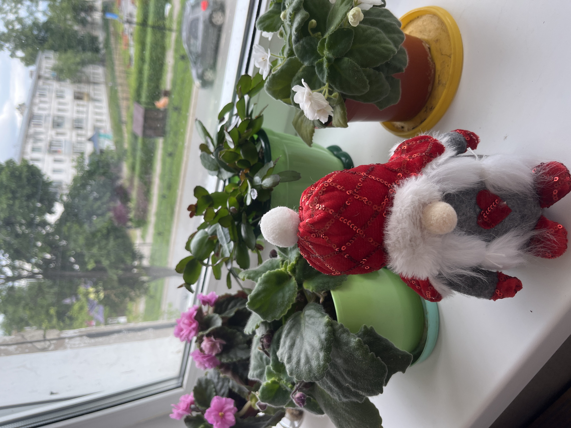 A gnome figurine is placed on a windowsill in front of potted plants. The gnome wears a red, sequined hat with a white pom-pom, a gray tunic with a red sequined heart, and red shoes. Behind the gnome, there are several potted plants, including African violets with pink and white flowers, and a Christmas cactus. The windowsill is white and appears to be made of plastic. Outside the window, a blurred view of a city street can be seen, with buildings, trees, and a car. The scene is likely located in Chaikovsky, Russia, given the architectural style of the buildings and the general environment.
